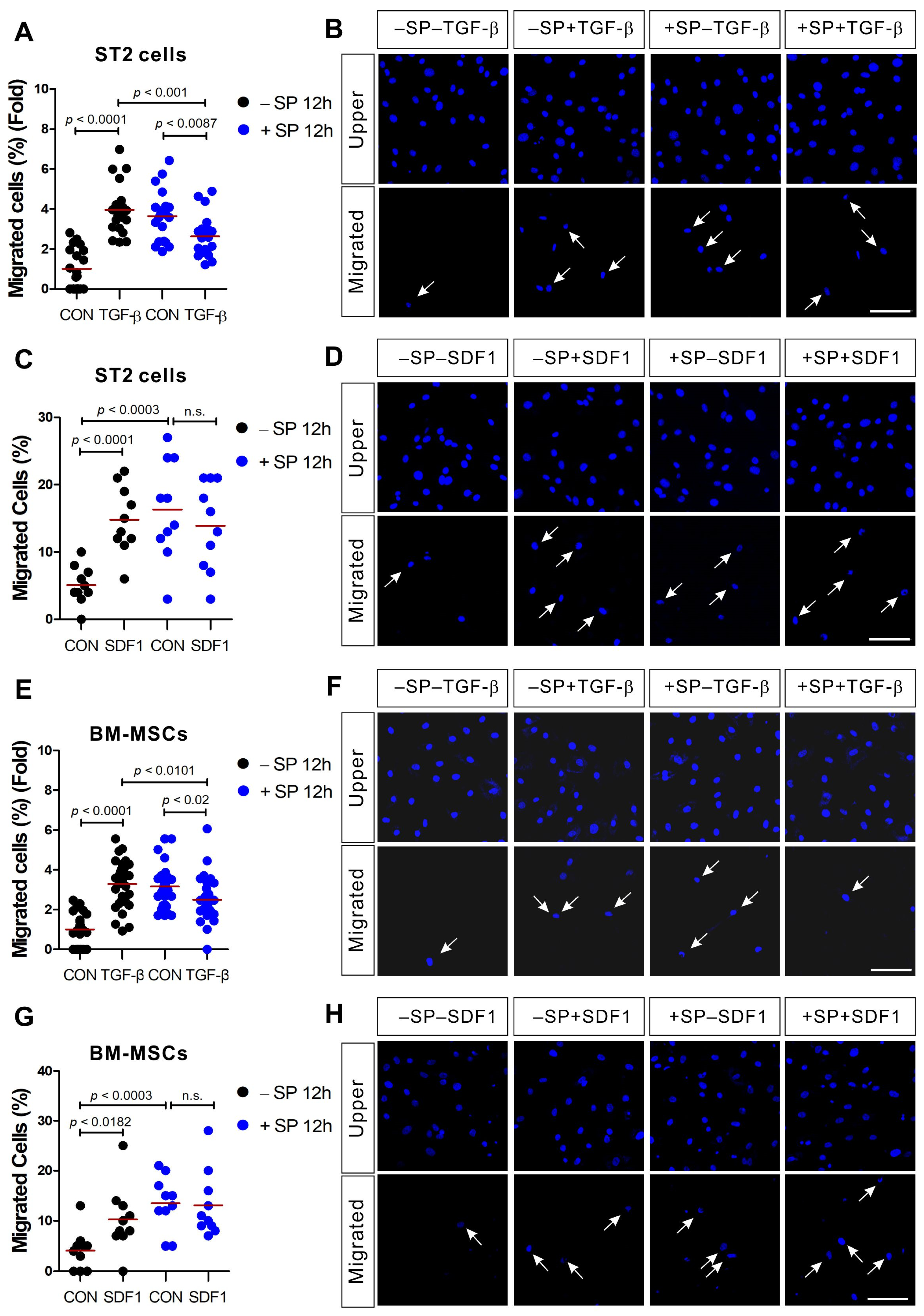 Ijms 21 08561 g001 Ijms 21 08561 g001