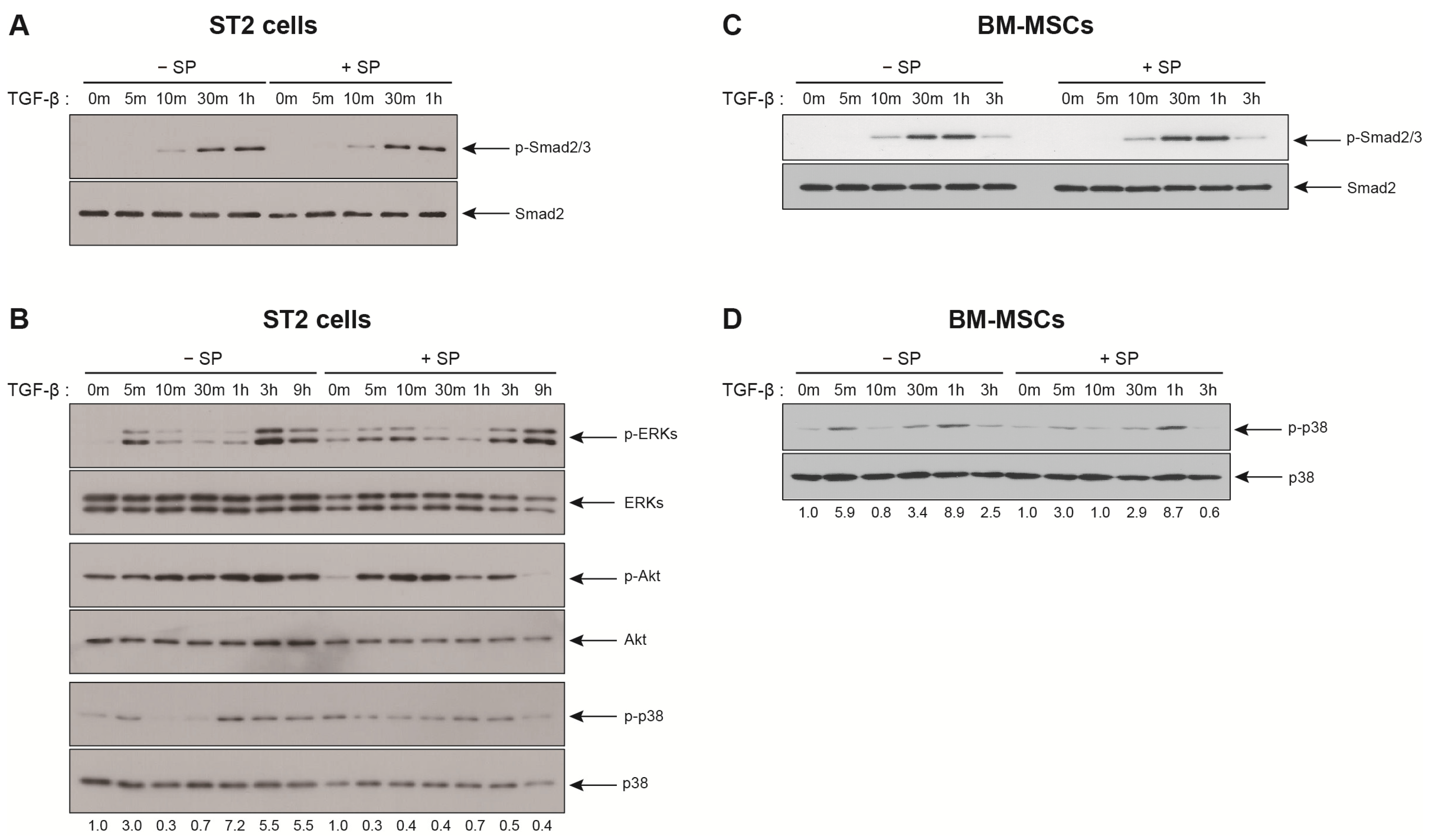 Ijms 21 08561 g005 Ijms 21 08561 g005
