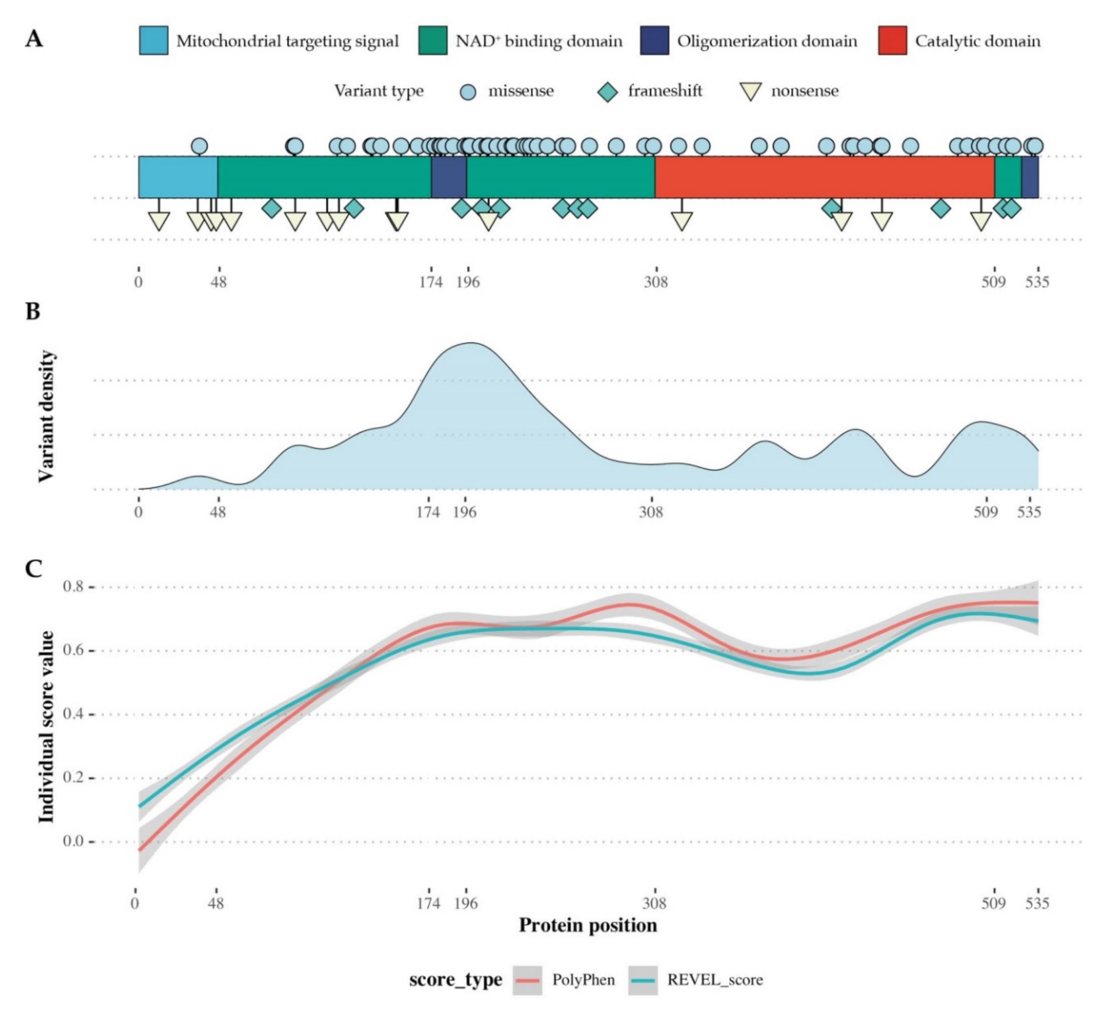 Ijms 21 08578 g004 Ijms 21 08578 g004