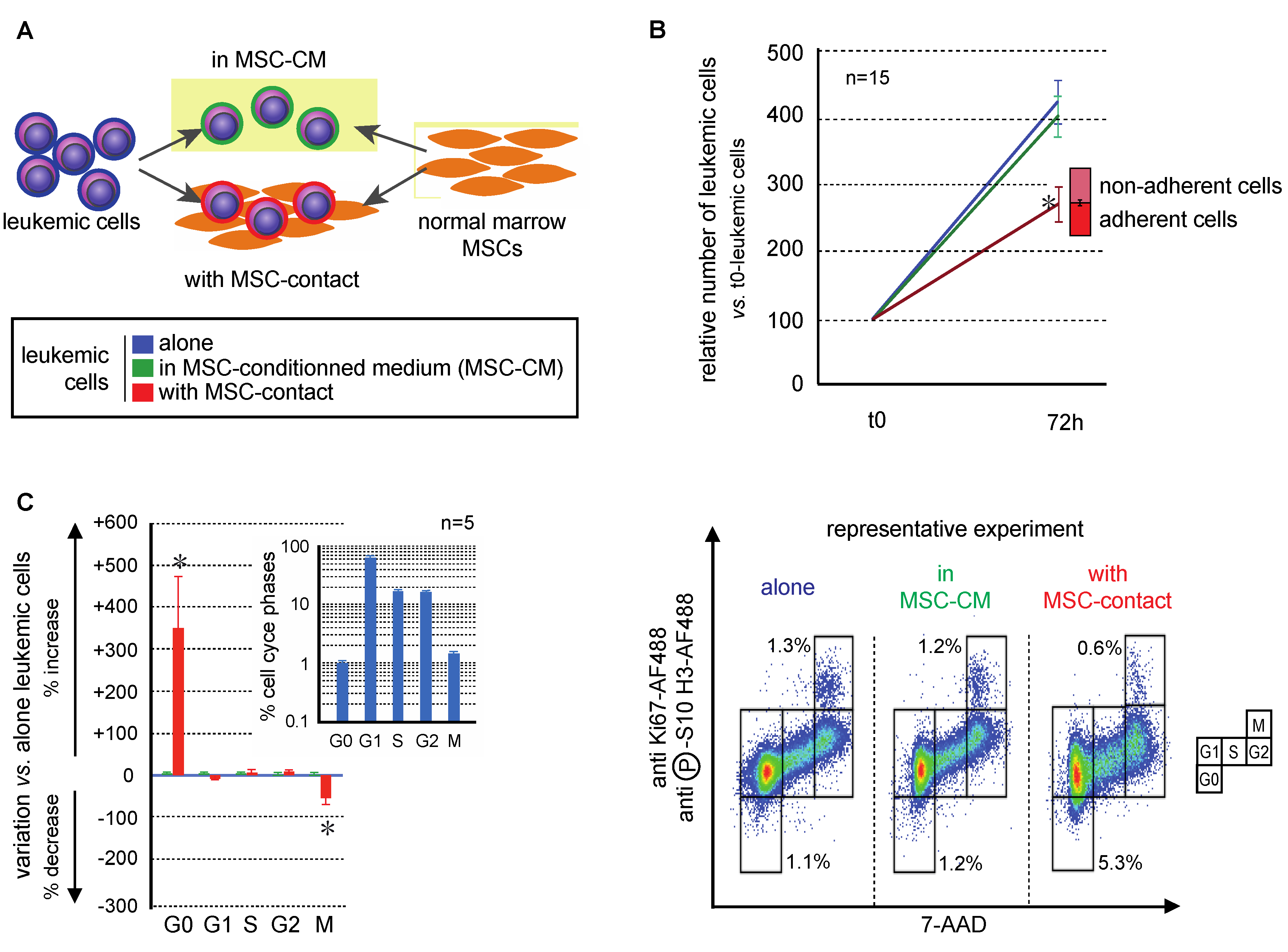 Ijms 21 08584 g001 Ijms 21 08584 g001