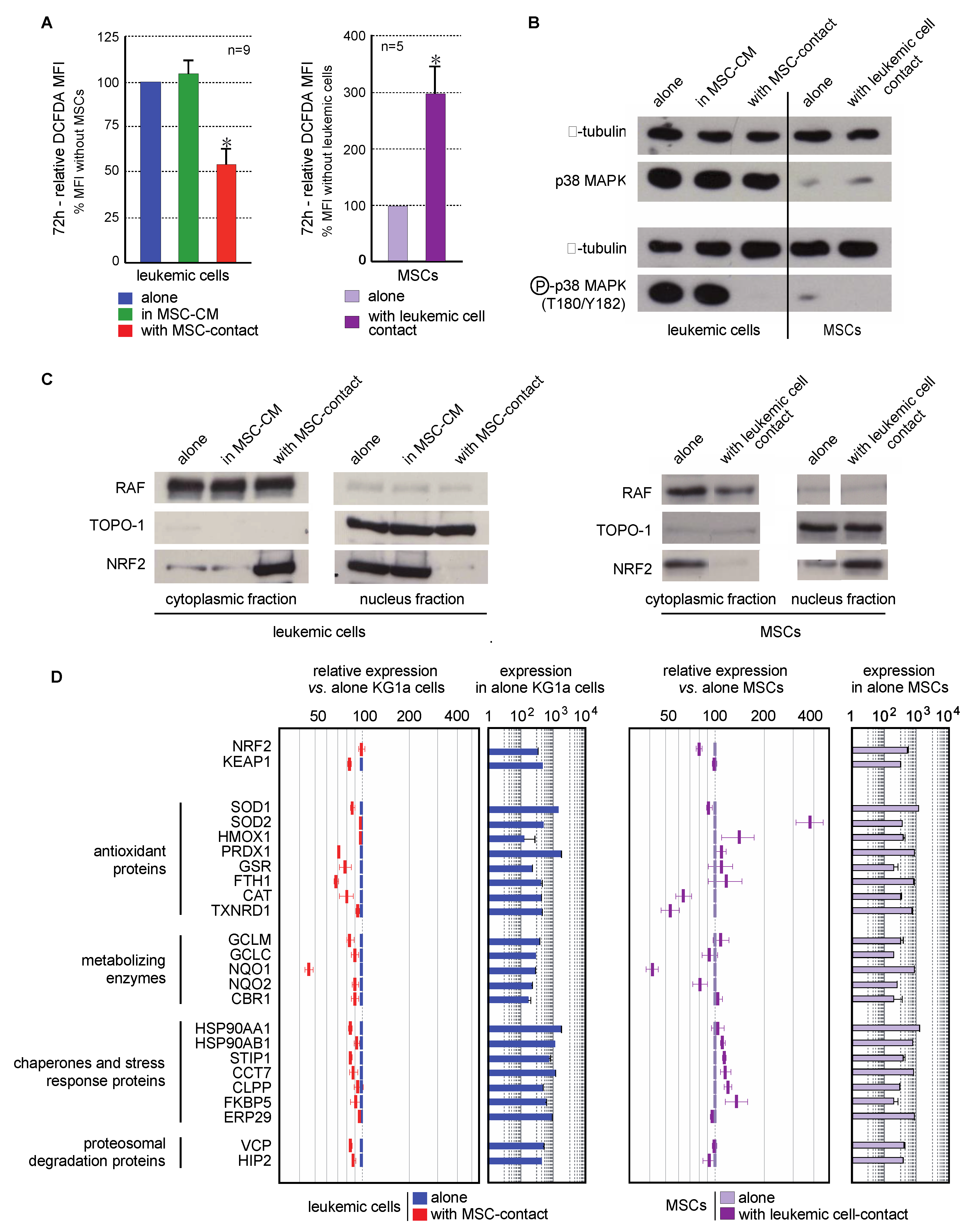 Ijms 21 08584 g004 Ijms 21 08584 g004