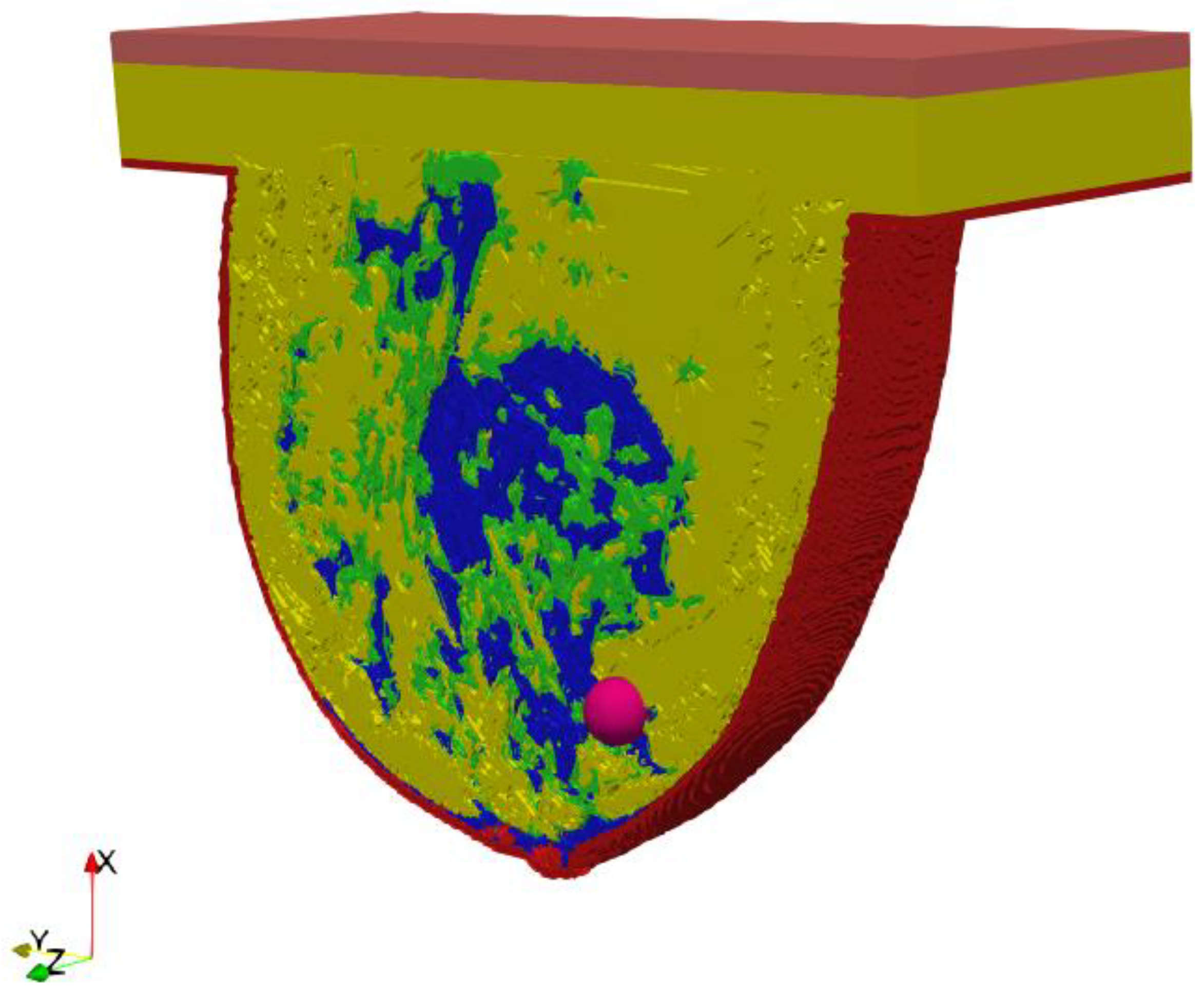 Ijms 21 08597 g003 Ijms 21 08597 g003