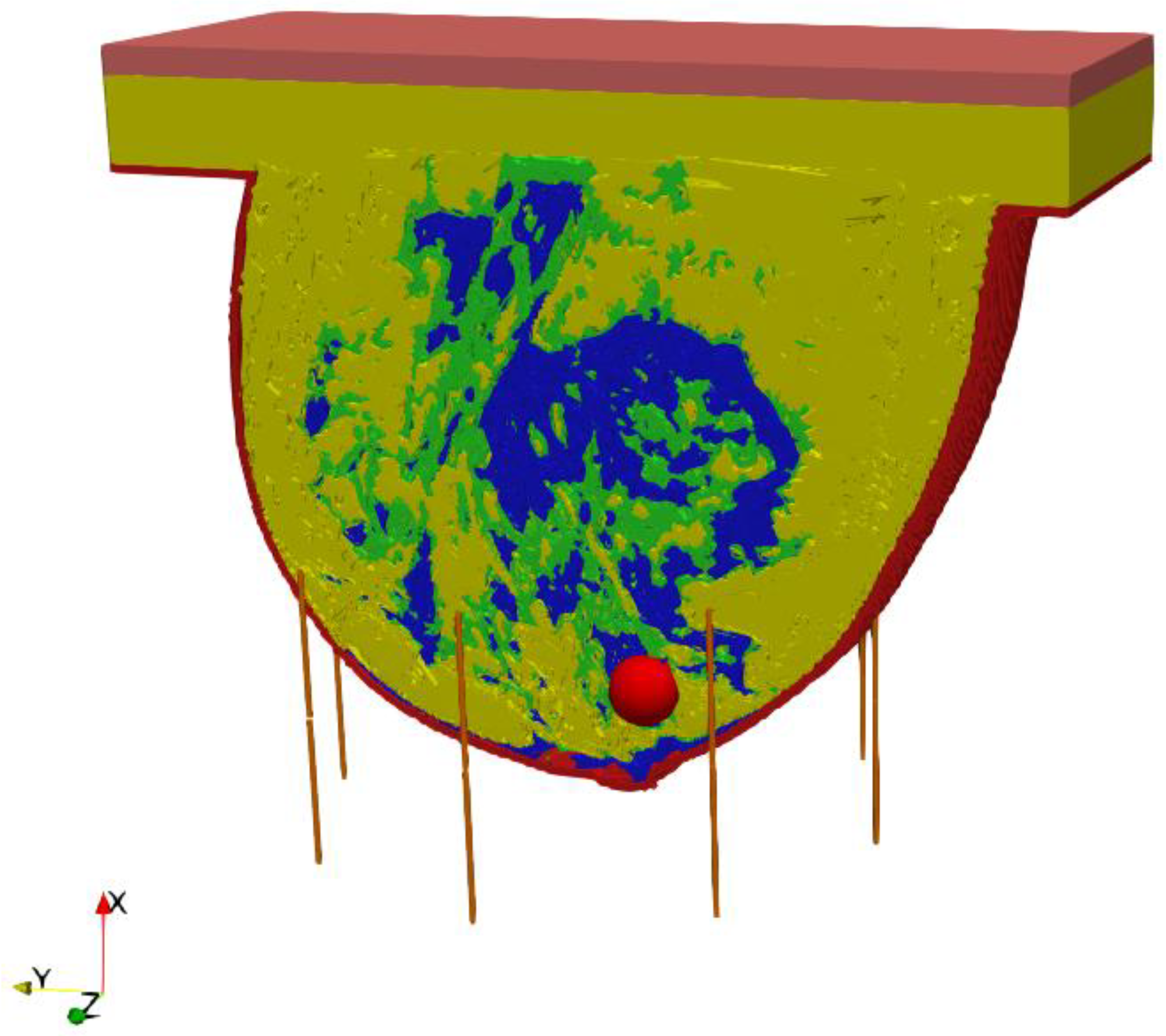 Ijms 21 08597 g004 Ijms 21 08597 g004
