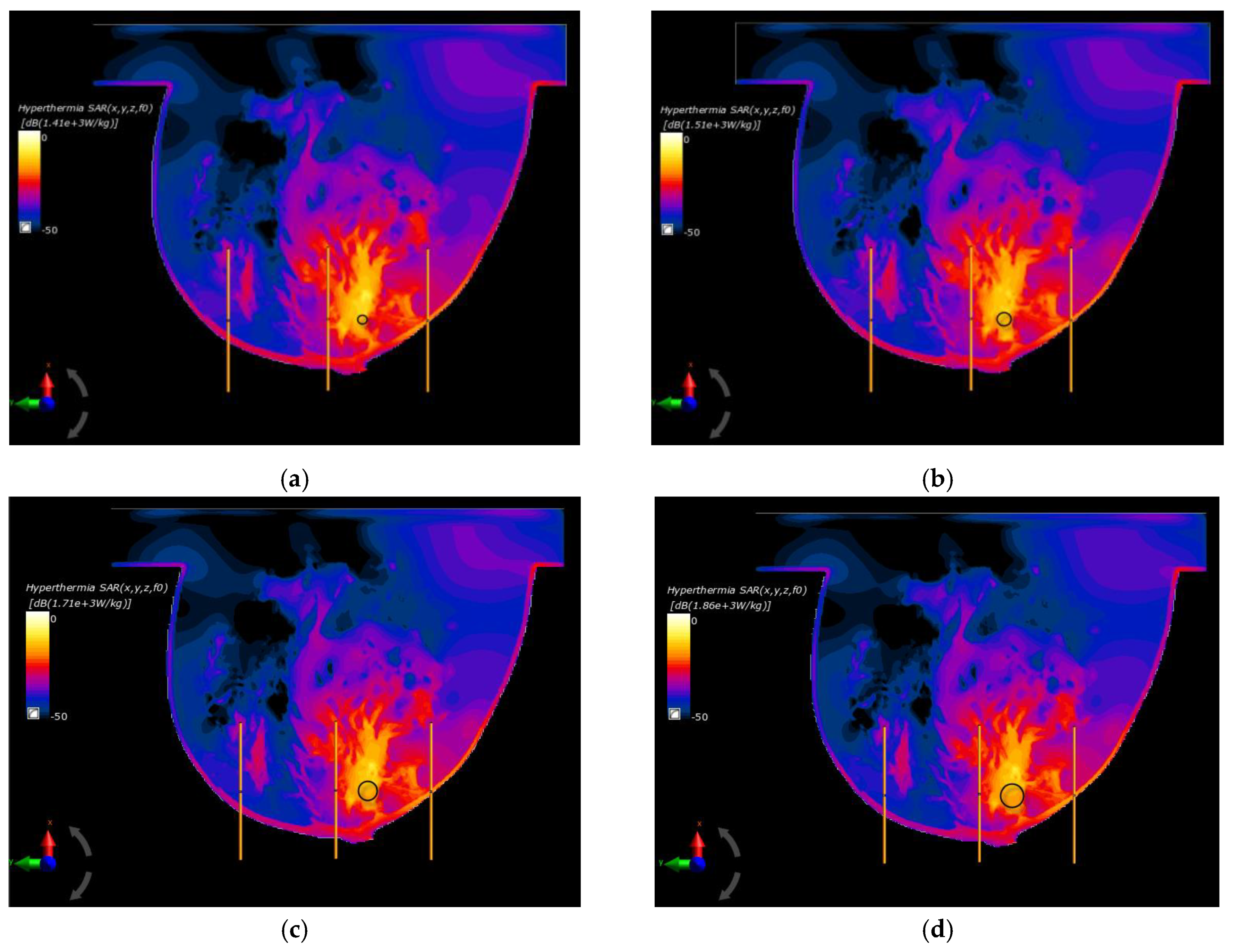 Ijms 21 08597 g006a Ijms 21 08597 g006a