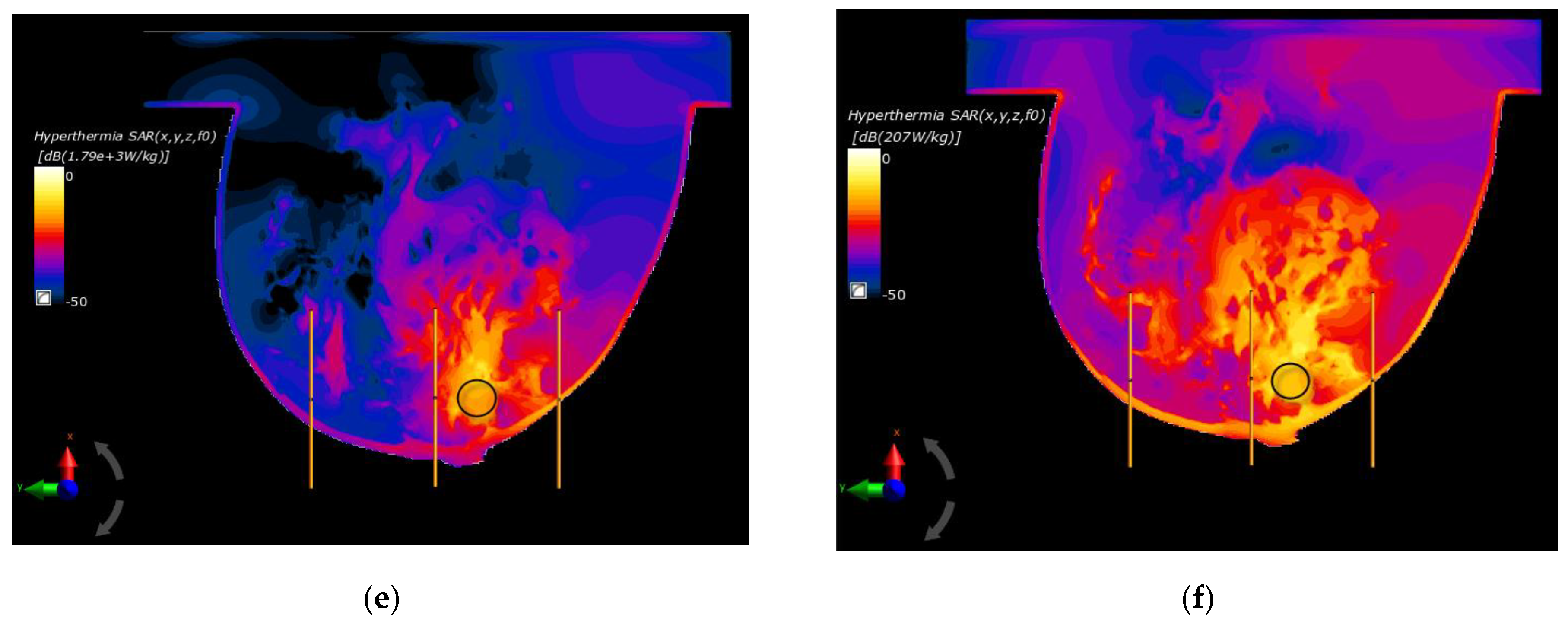 Ijms 21 08597 g006b Ijms 21 08597 g006b