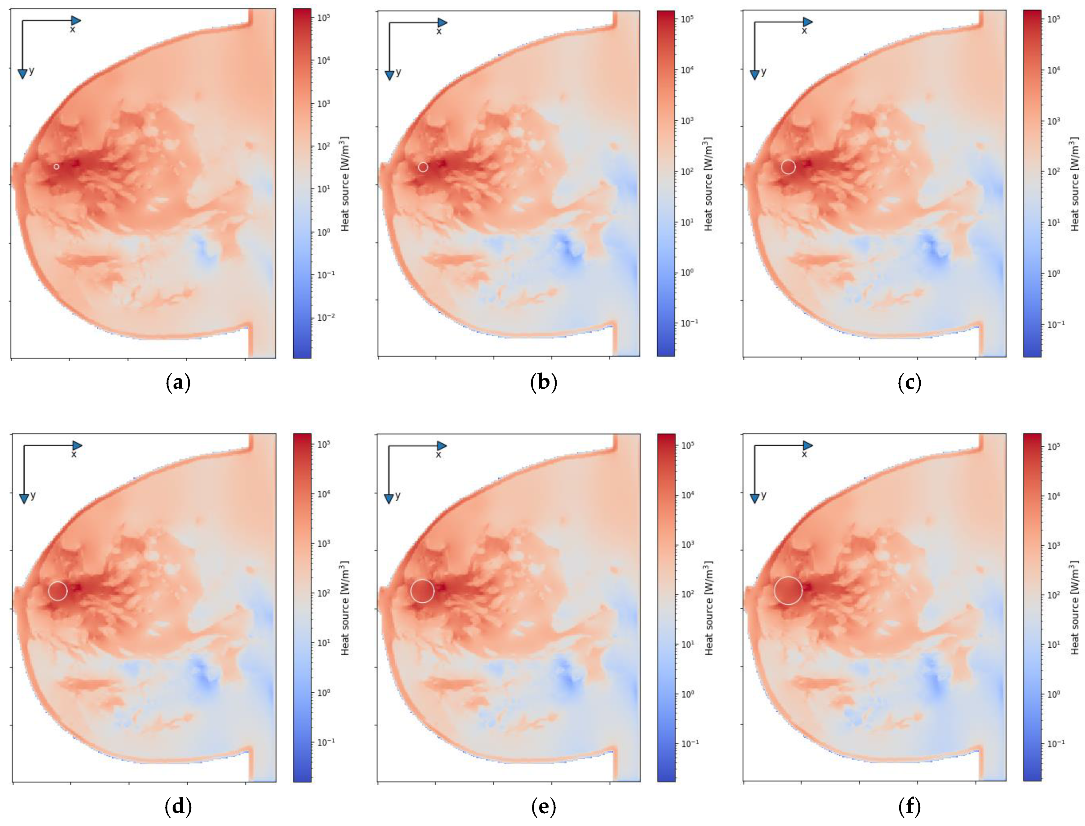 Ijms 21 08597 g007 Ijms 21 08597 g007