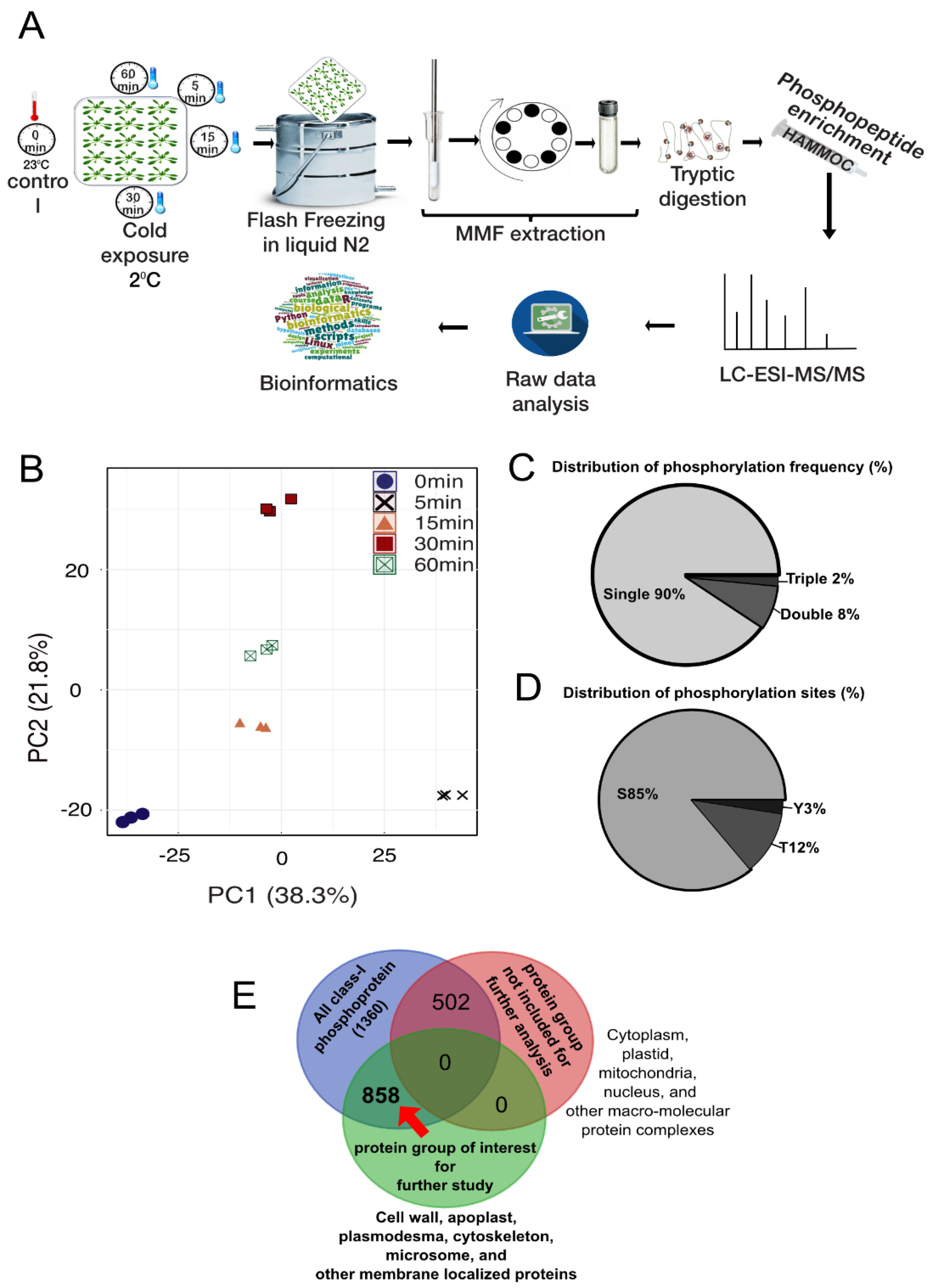 Ijms 21 08631 g001 Ijms 21 08631 g001