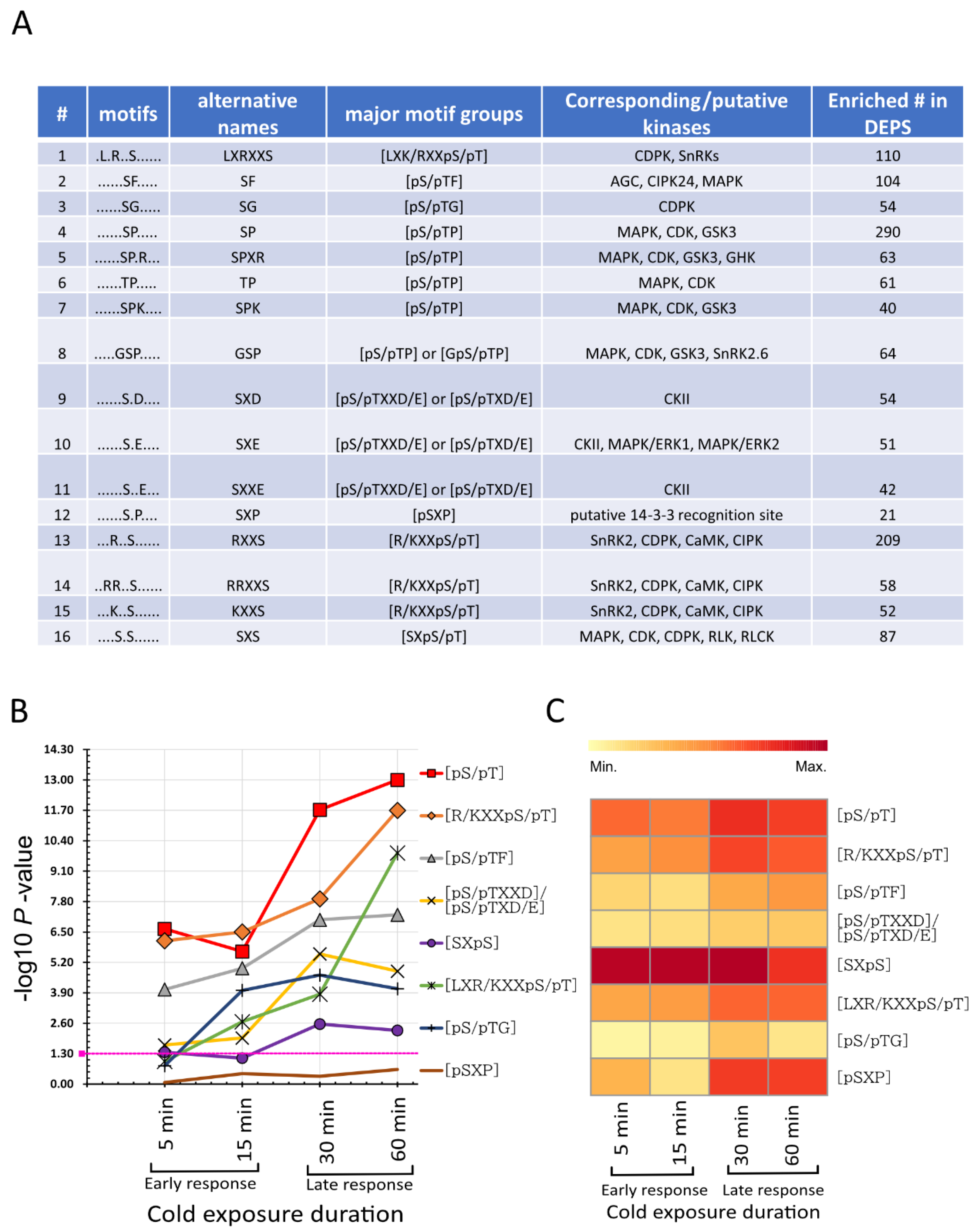 Ijms 21 08631 g005 Ijms 21 08631 g005