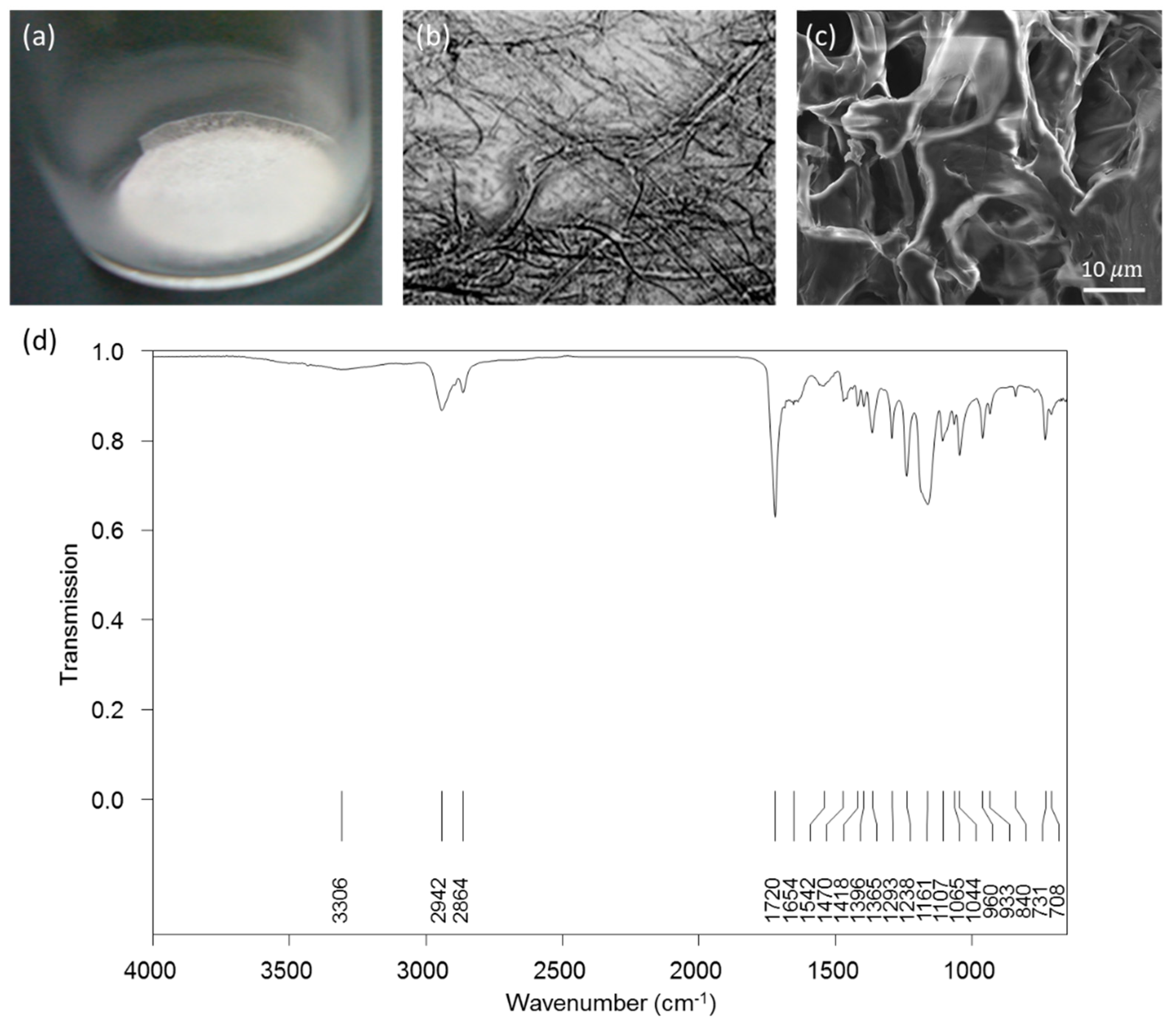 Ijms 21 08632 g002 Ijms 21 08632 g002