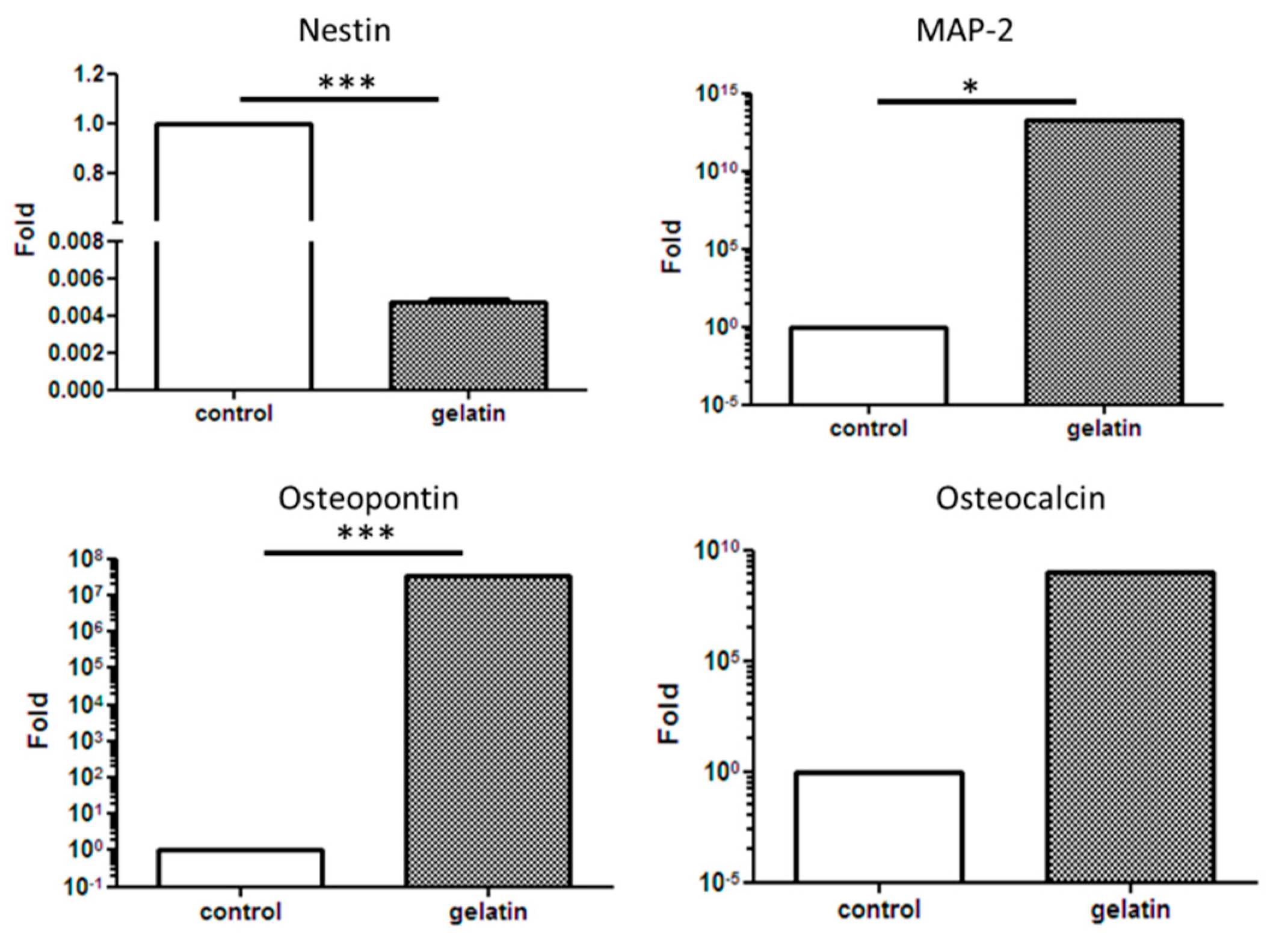 Ijms 21 08632 g005 Ijms 21 08632 g005