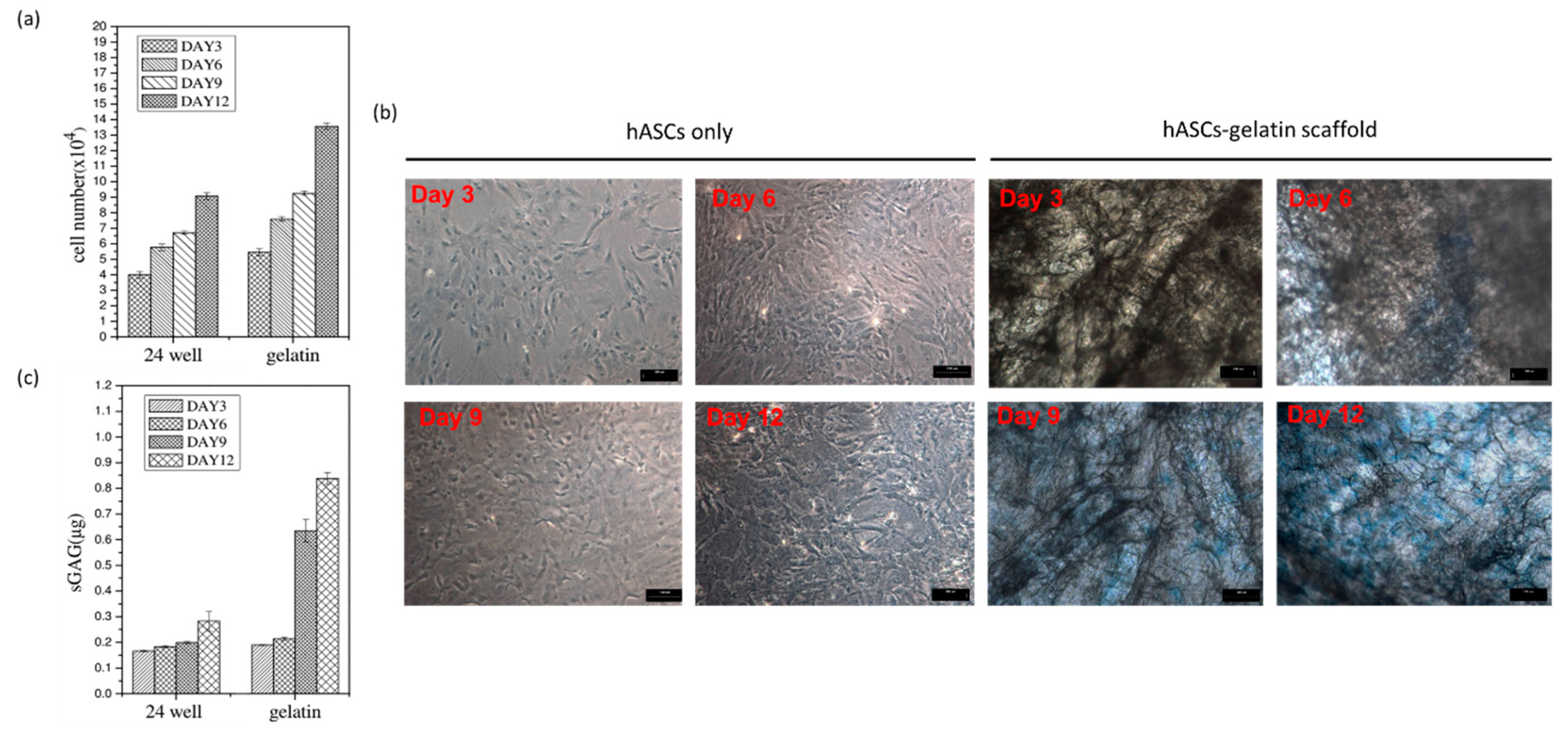 Ijms 21 08632 g006 Ijms 21 08632 g006