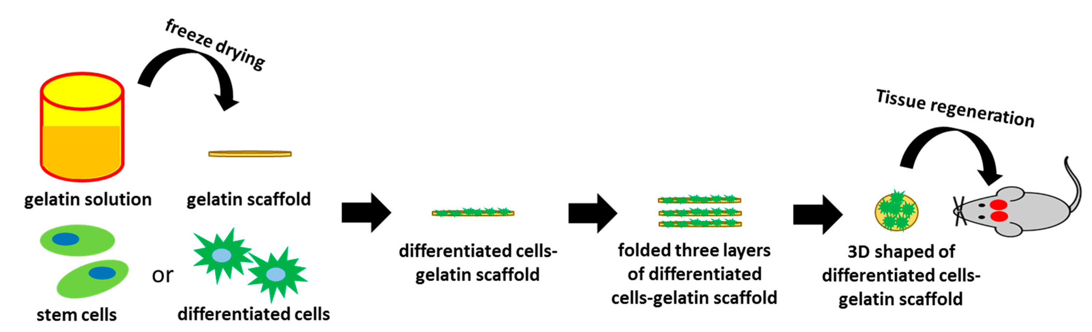 Ijms 21 08632 g009 Ijms 21 08632 g009