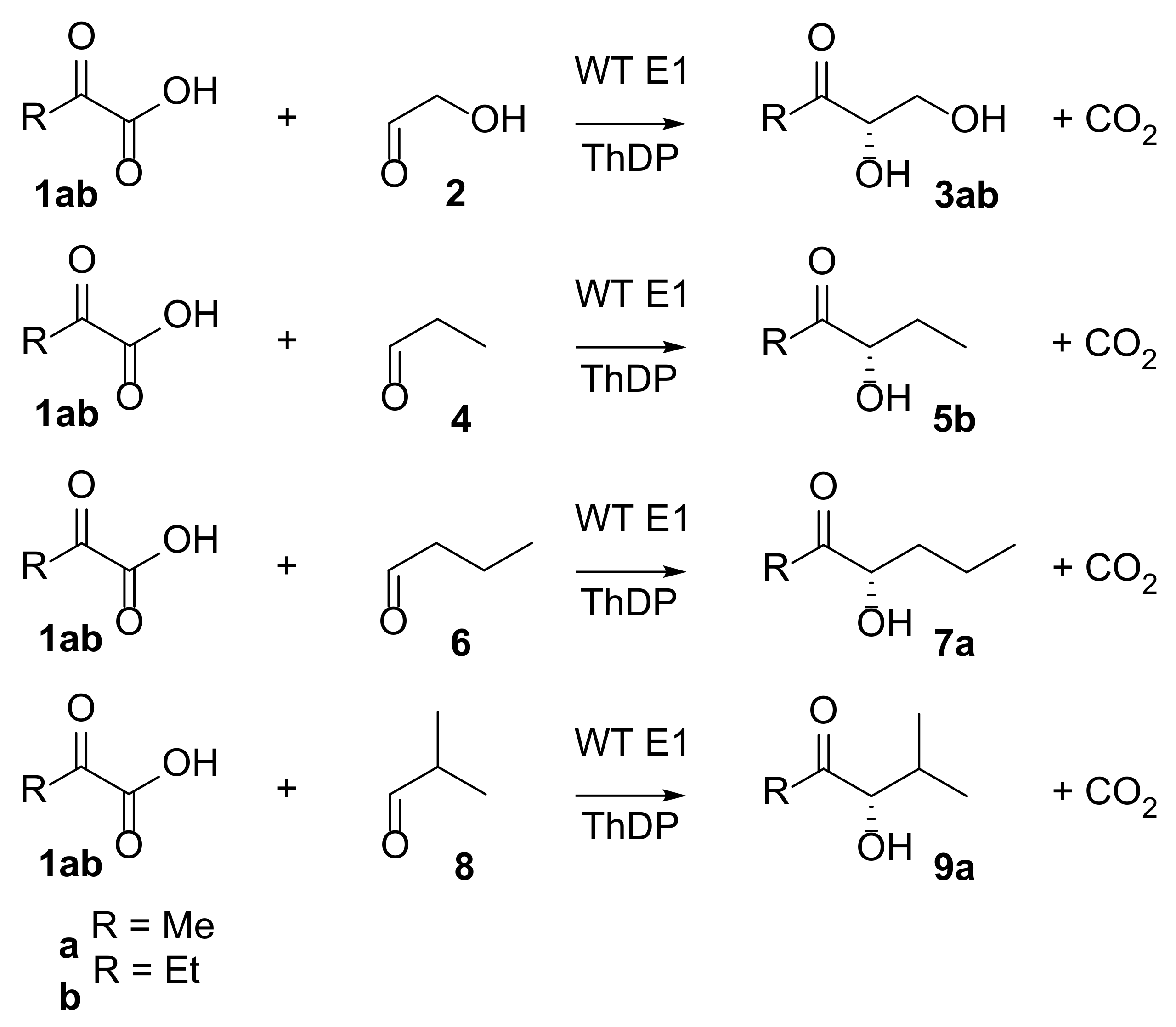 Ijms 21 08641 sch002