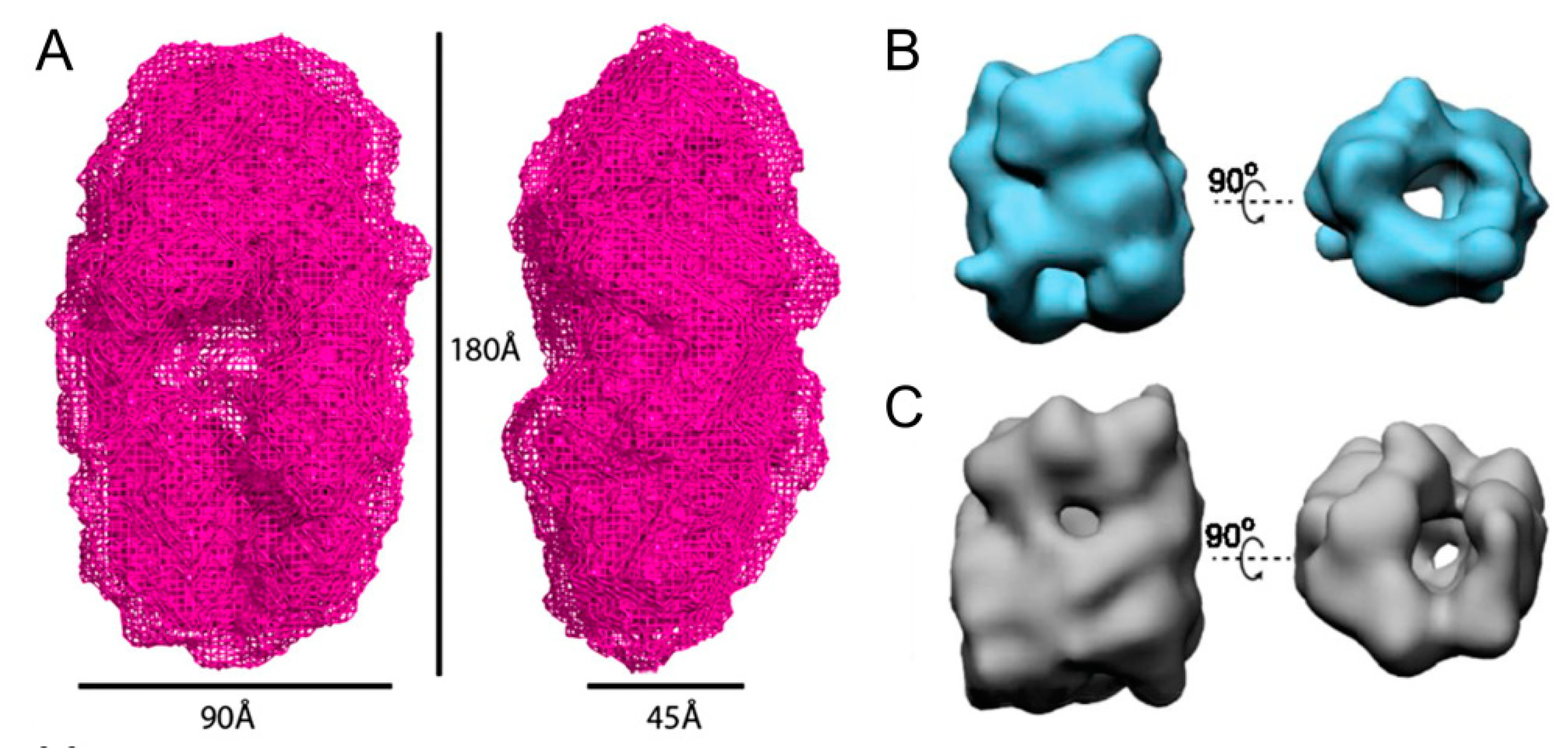 Ijms 21 08645 g002 Ijms 21 08645 g002