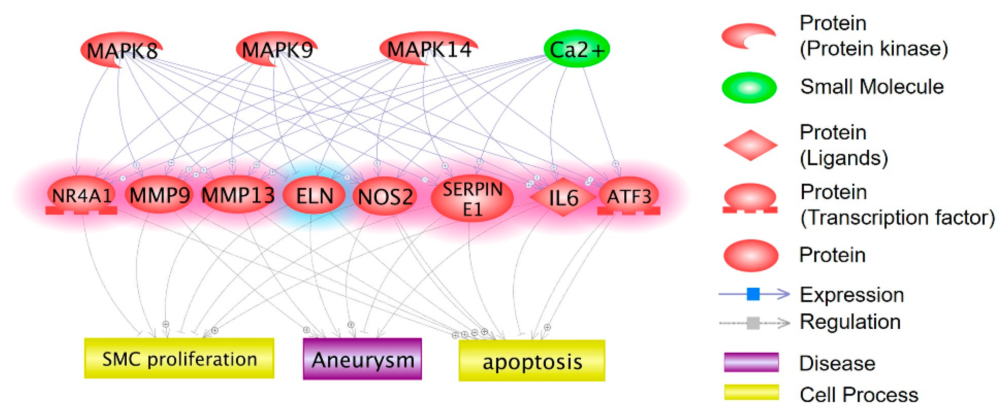 Ijms 21 08660 g001 Ijms 21 08660 g001