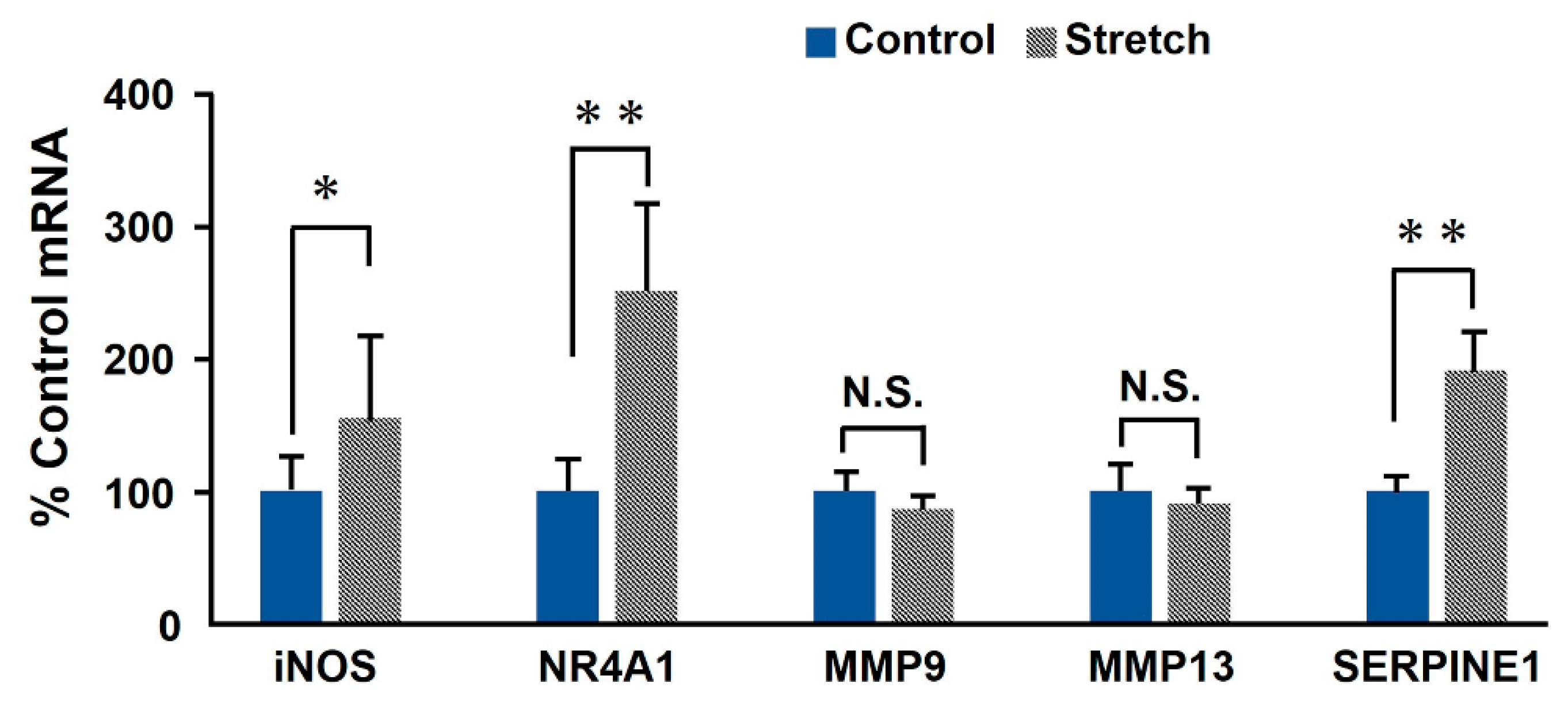Ijms 21 08660 g002 Ijms 21 08660 g002
