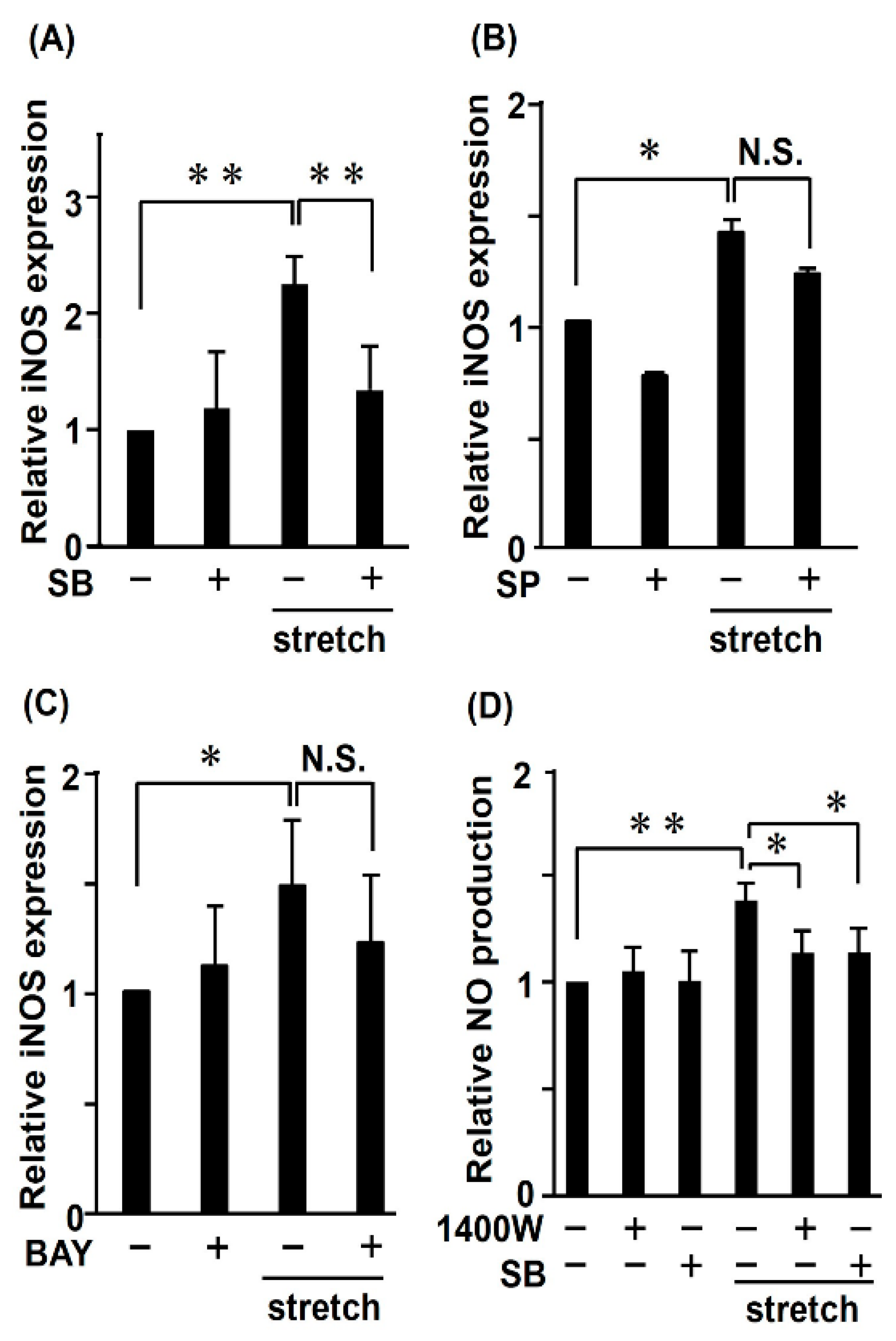 Ijms 21 08660 g003 Ijms 21 08660 g003