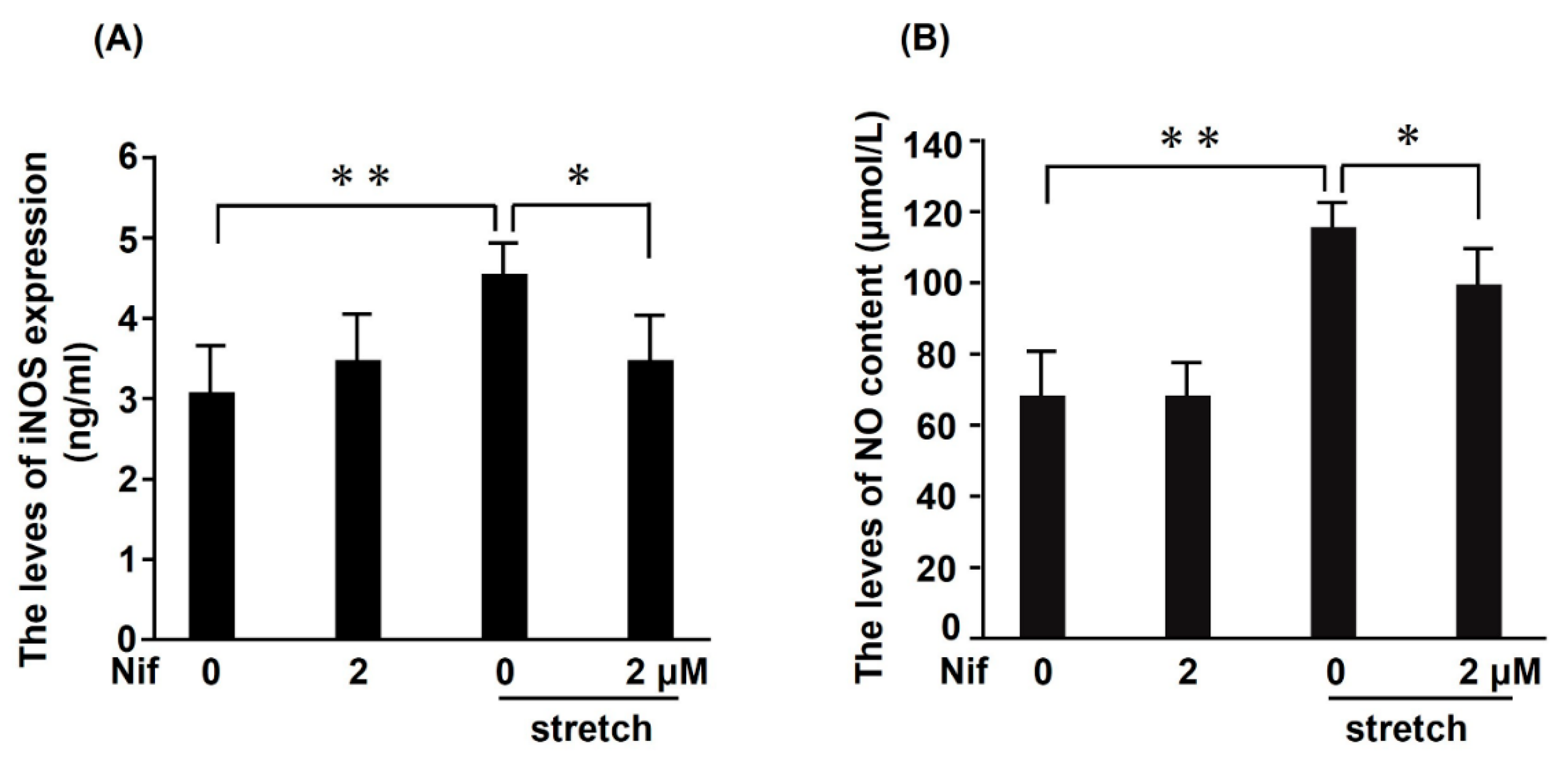 Ijms 21 08660 g006 Ijms 21 08660 g006