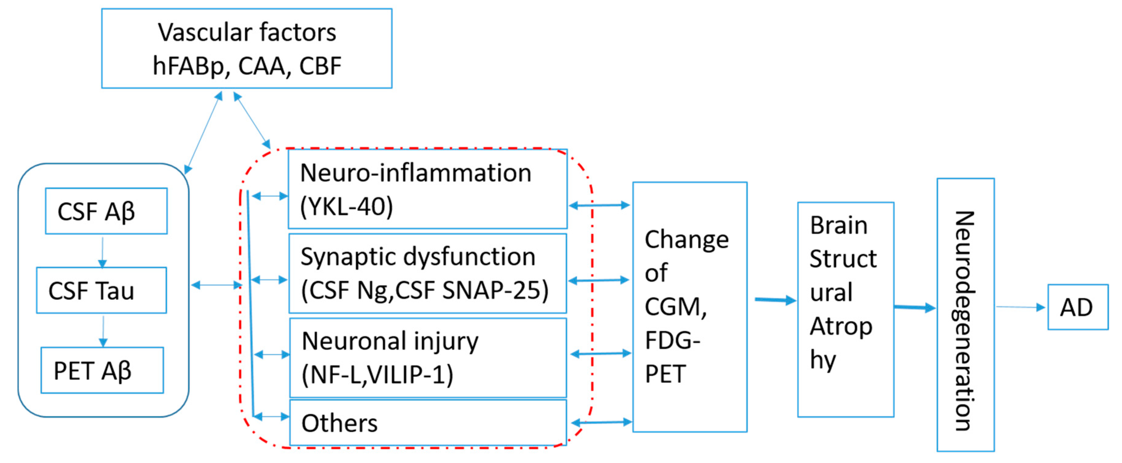 Ijms 21 08661 g001 Ijms 21 08661 g001