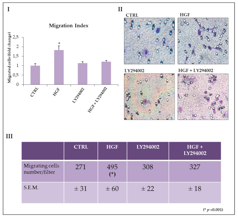 Ijms 21 08669 g004 Ijms 21 08669 g004
