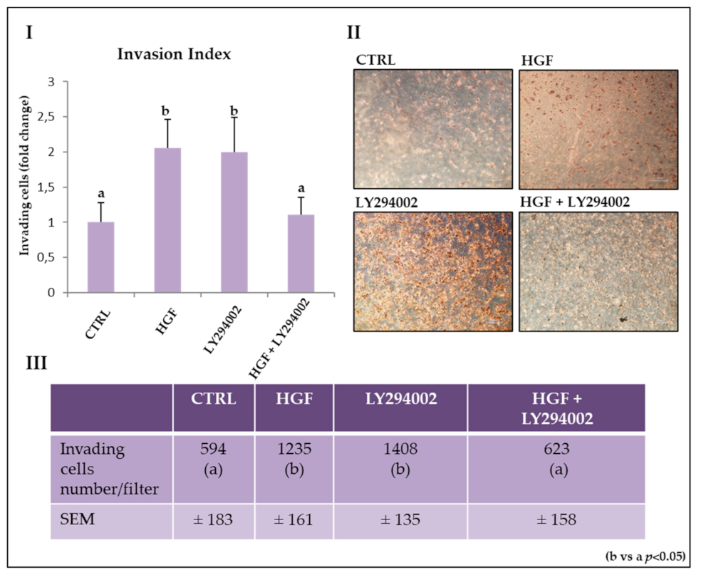 Ijms 21 08669 g005 Ijms 21 08669 g005