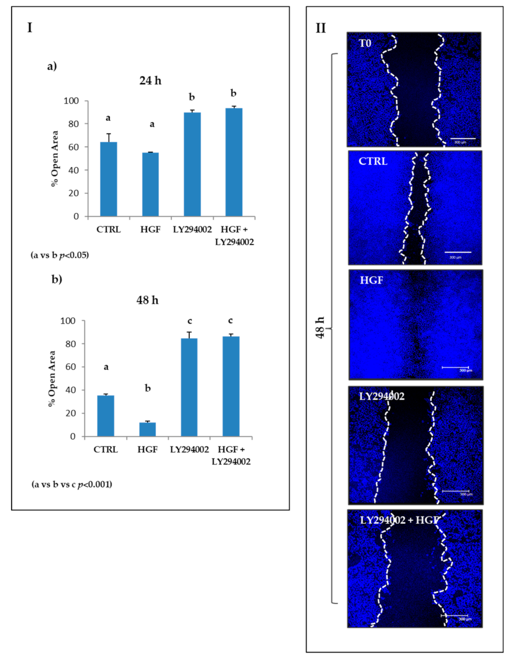 Ijms 21 08669 g006 Ijms 21 08669 g006