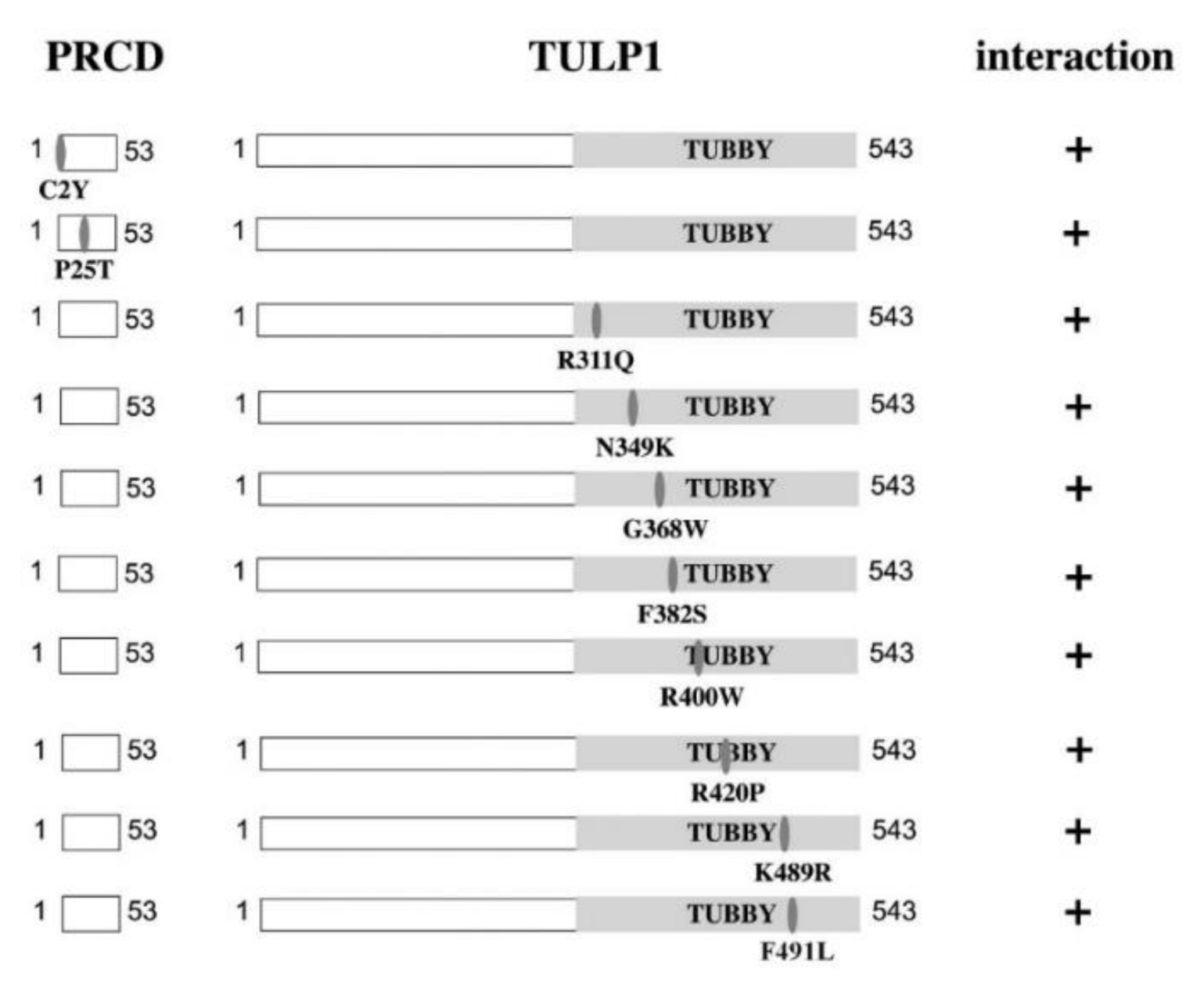 Ijms 21 08677 g004 Ijms 21 08677 g004