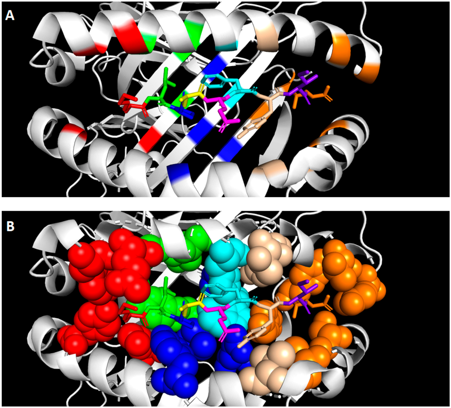 Ijms 21 08678 g002 Ijms 21 08678 g002