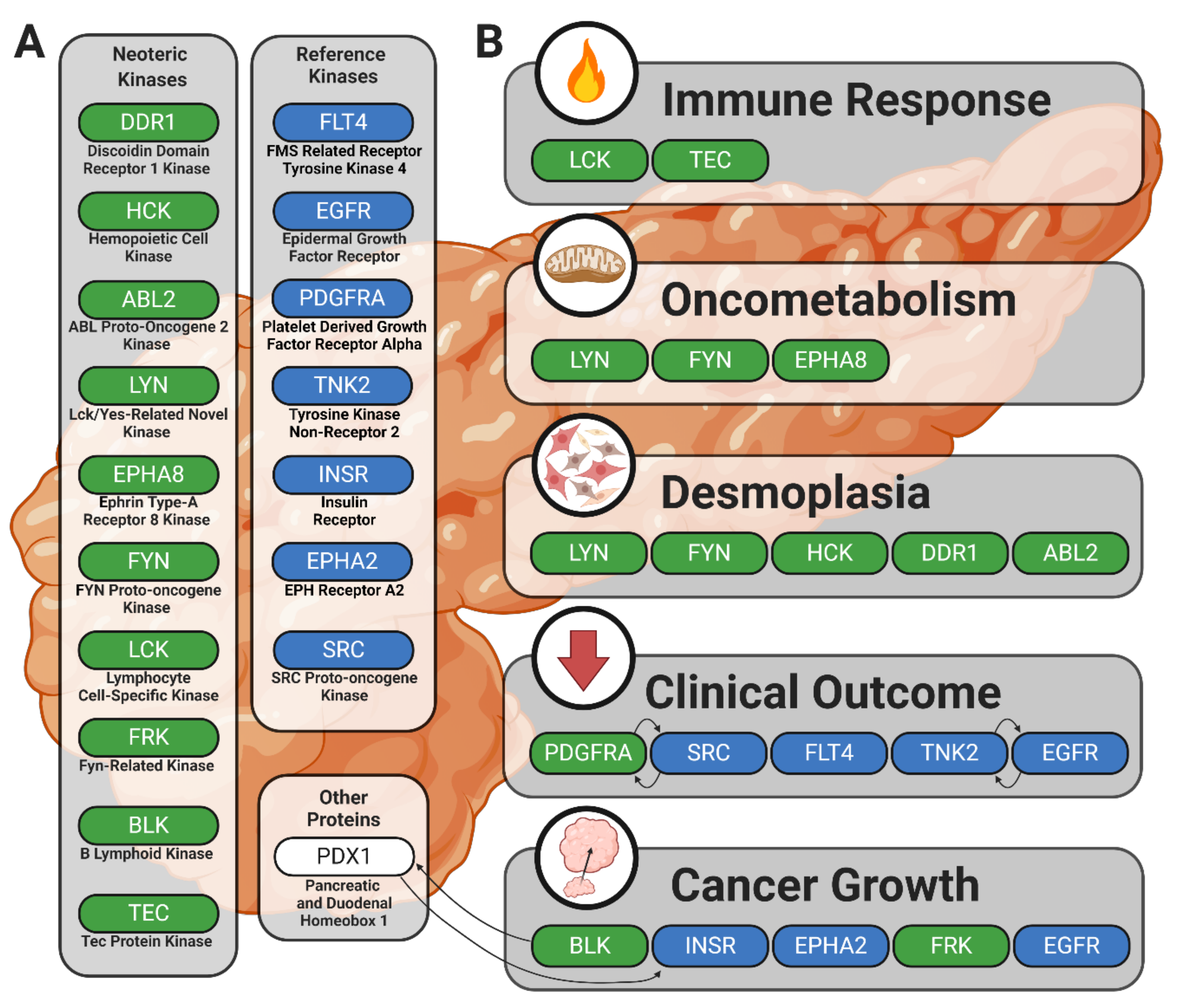 Ijms 21 08679 g005 Ijms 21 08679 g005