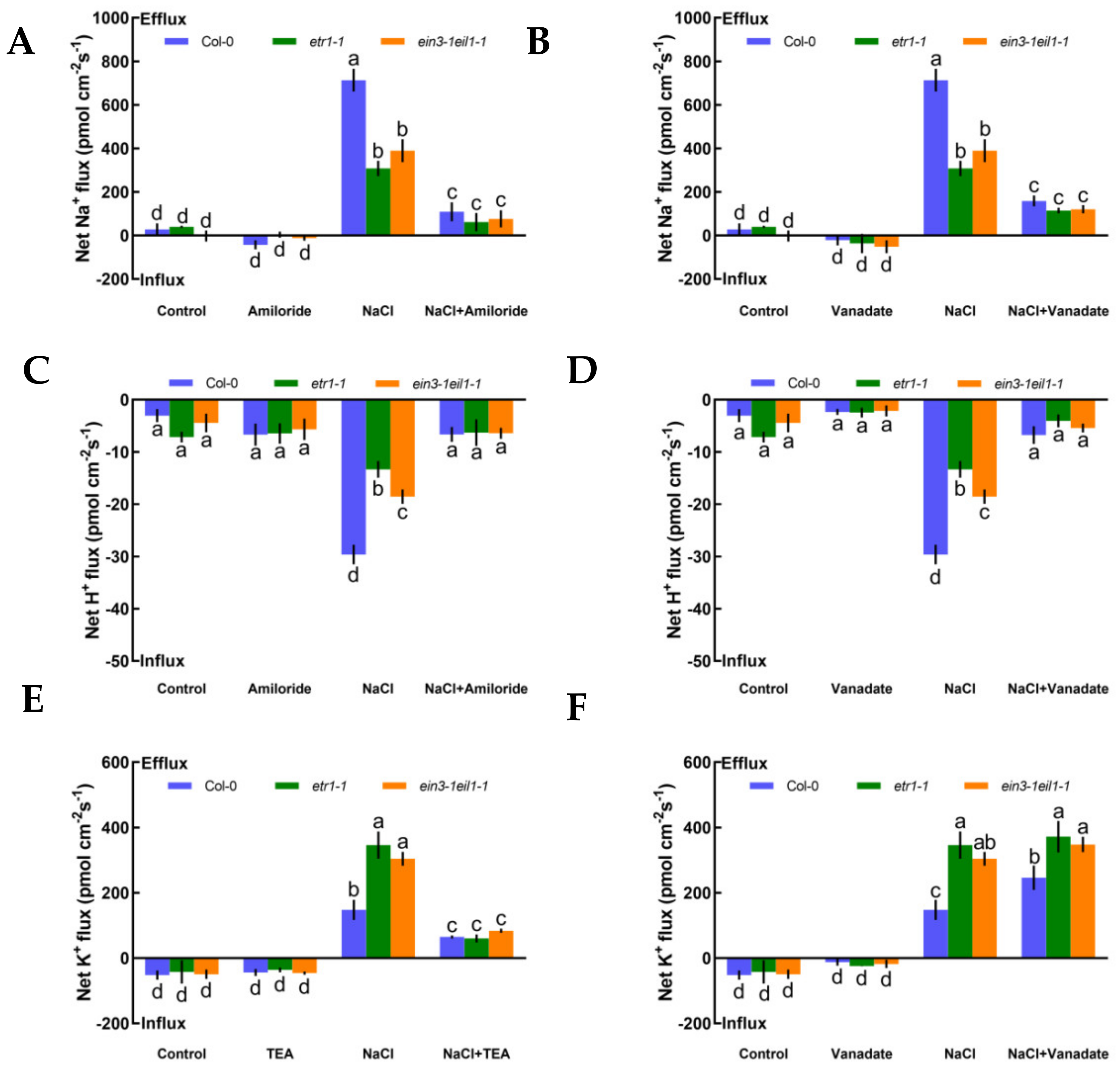 Ijms 21 08683 g003 Ijms 21 08683 g003