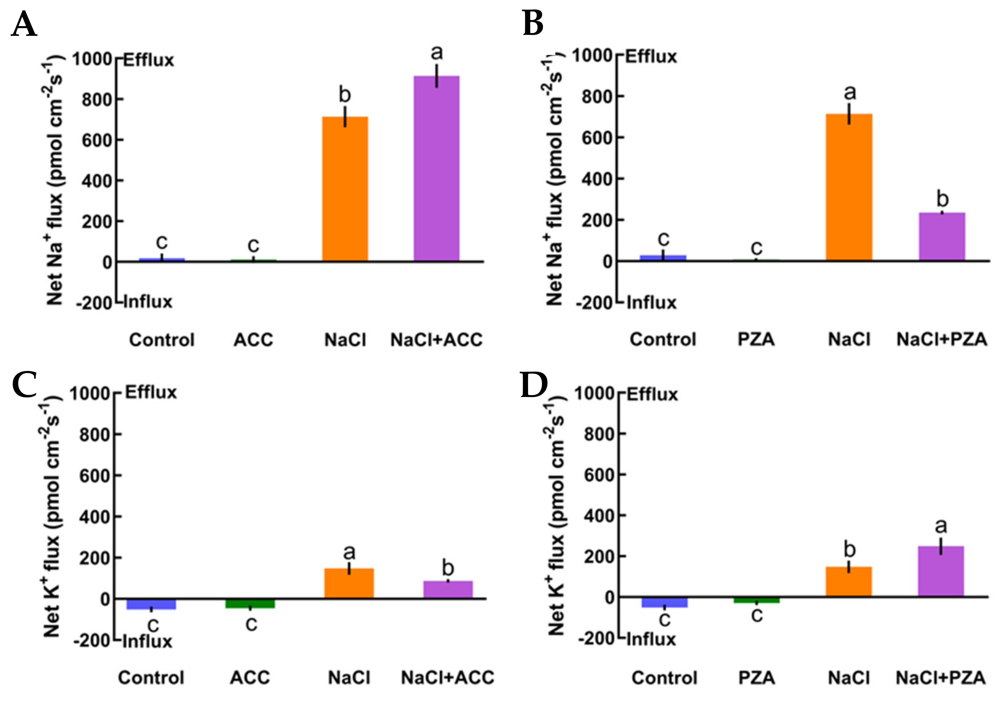 Ijms 21 08683 g004 Ijms 21 08683 g004