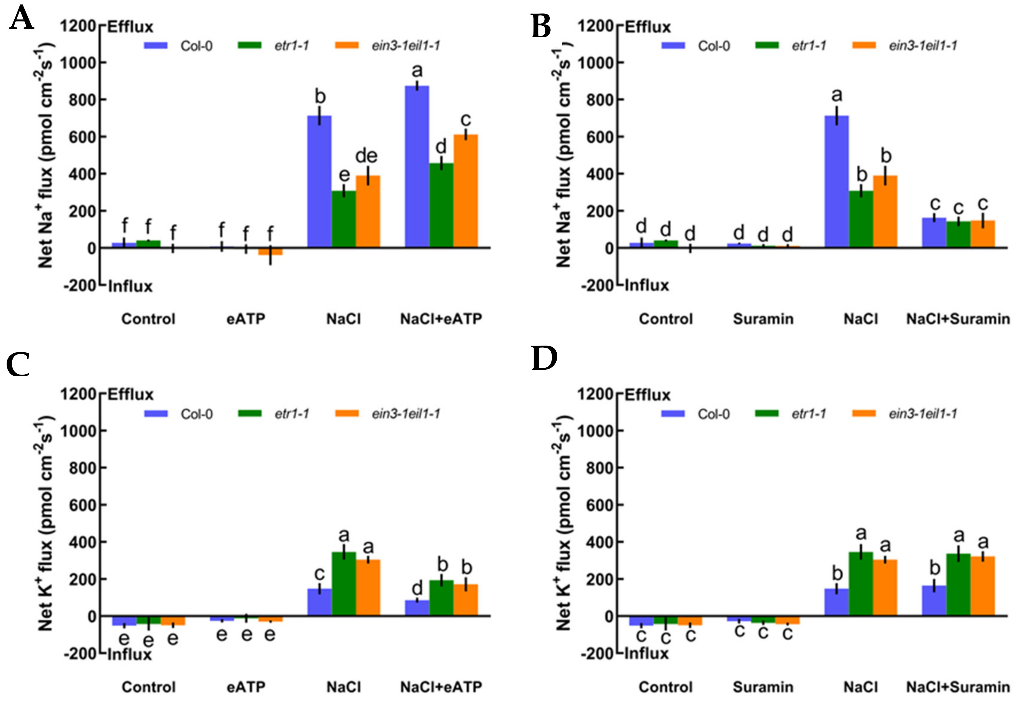 Ijms 21 08683 g005 Ijms 21 08683 g005