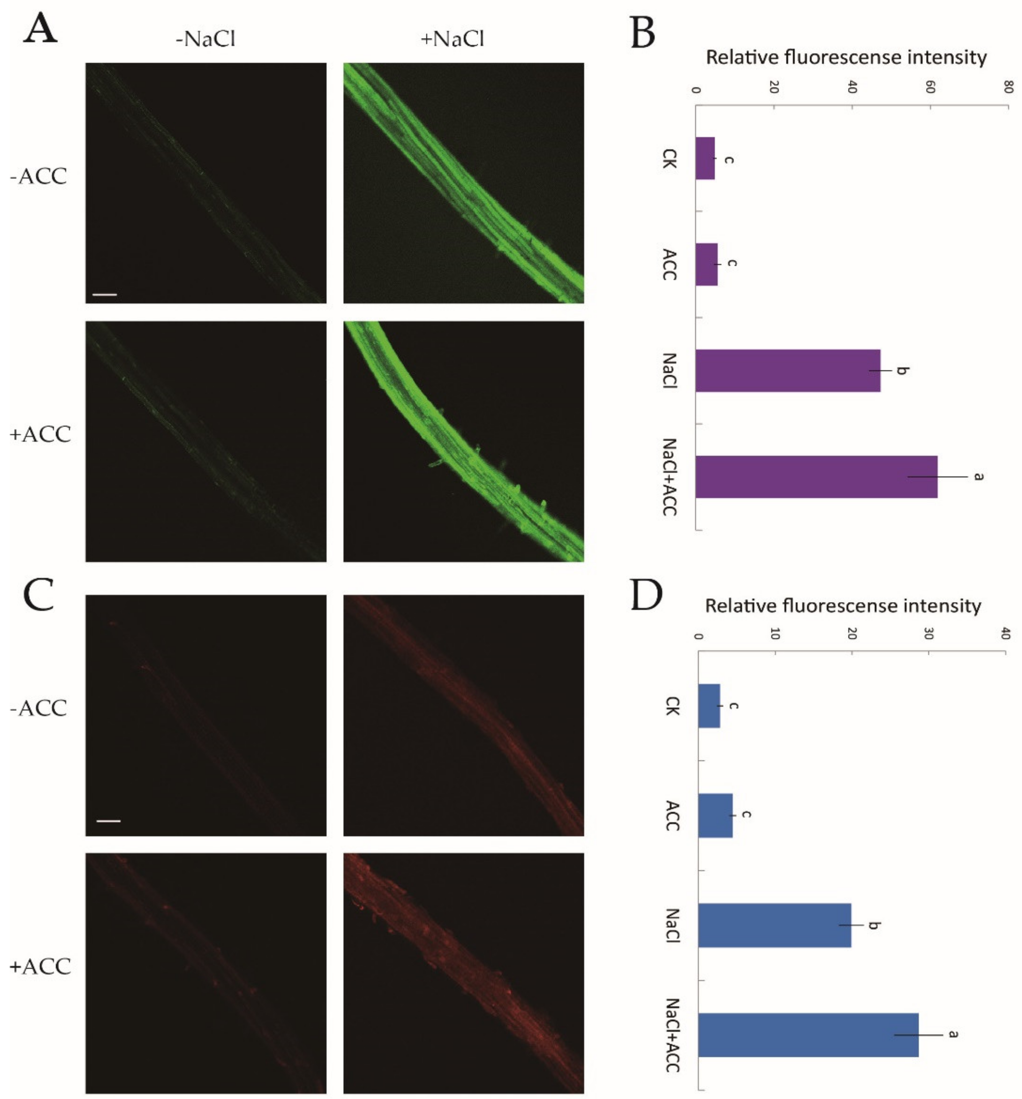 Ijms 21 08683 g006 Ijms 21 08683 g006