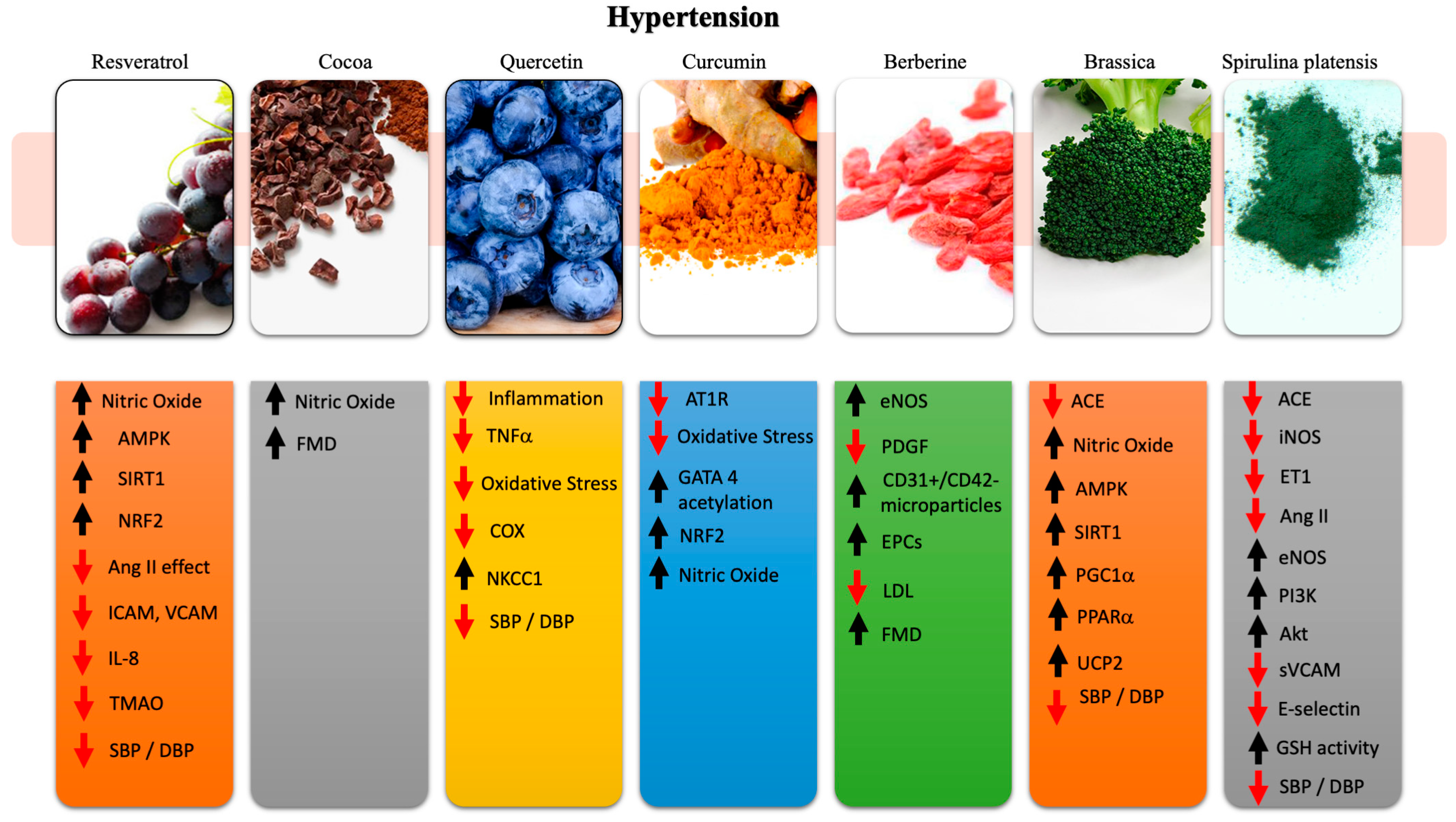 Ijms 21 08706 g001 Ijms 21 08706 g001