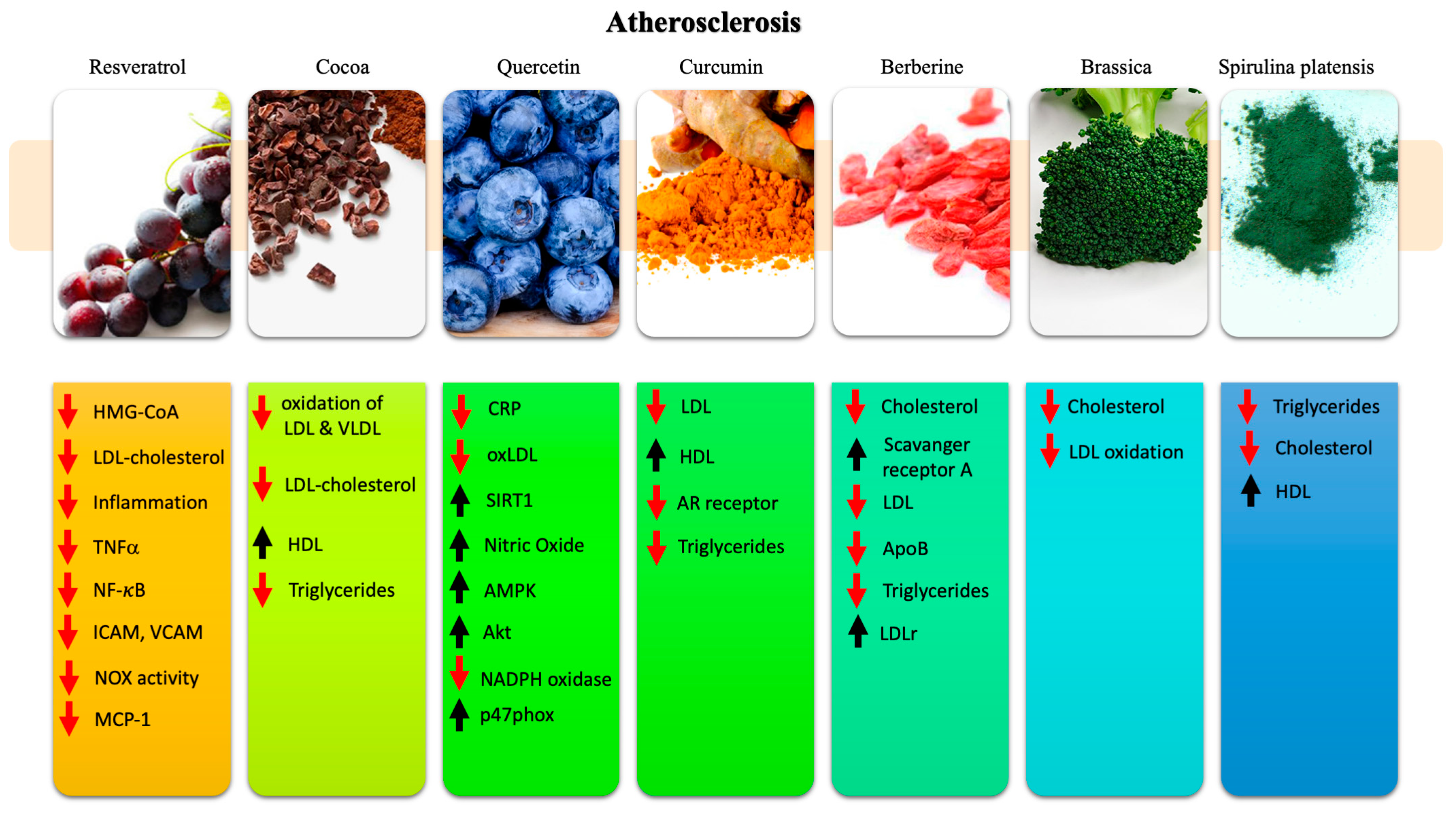 Ijms 21 08706 g002 Ijms 21 08706 g002