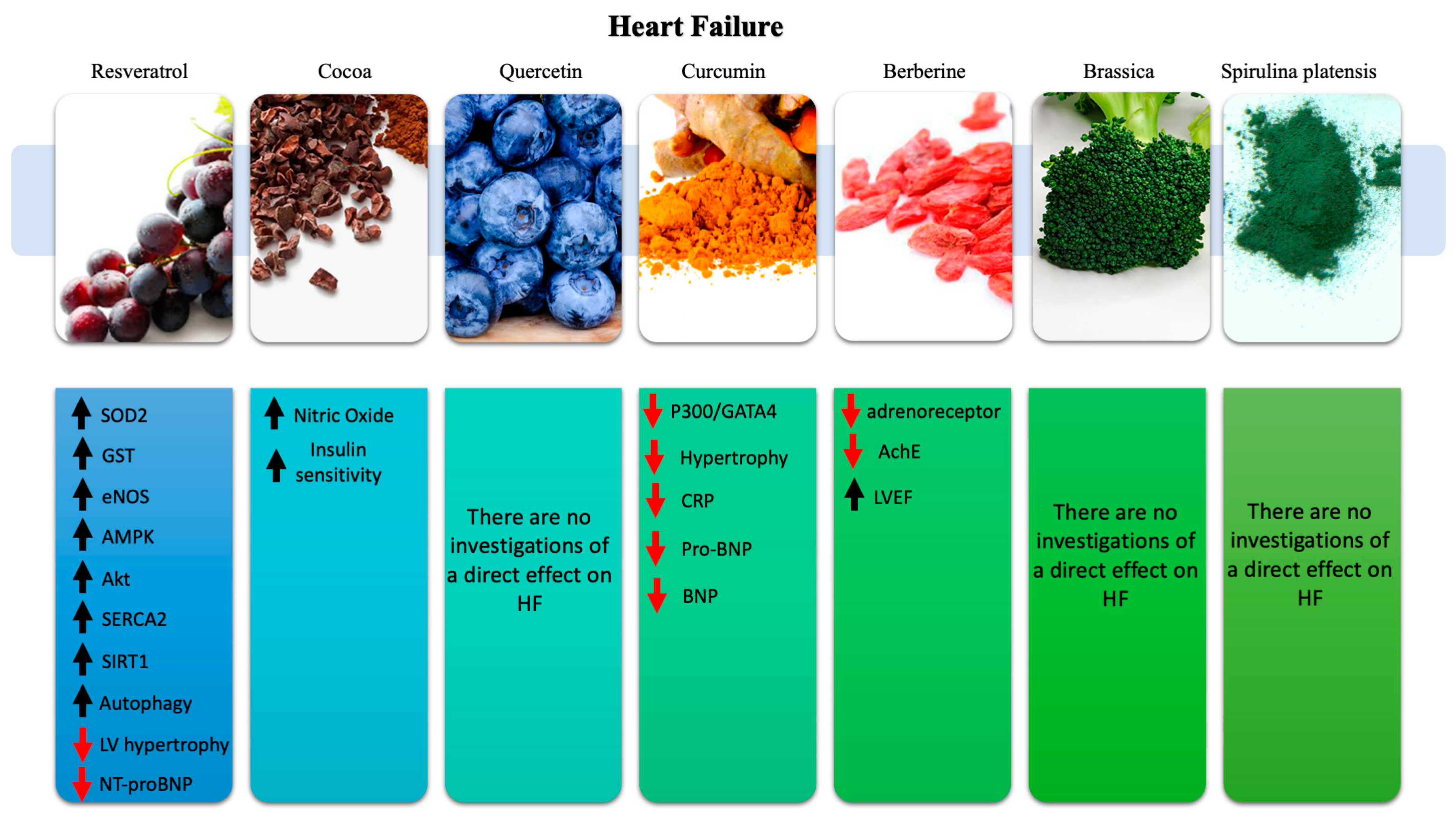 Ijms 21 08706 g003 Ijms 21 08706 g003