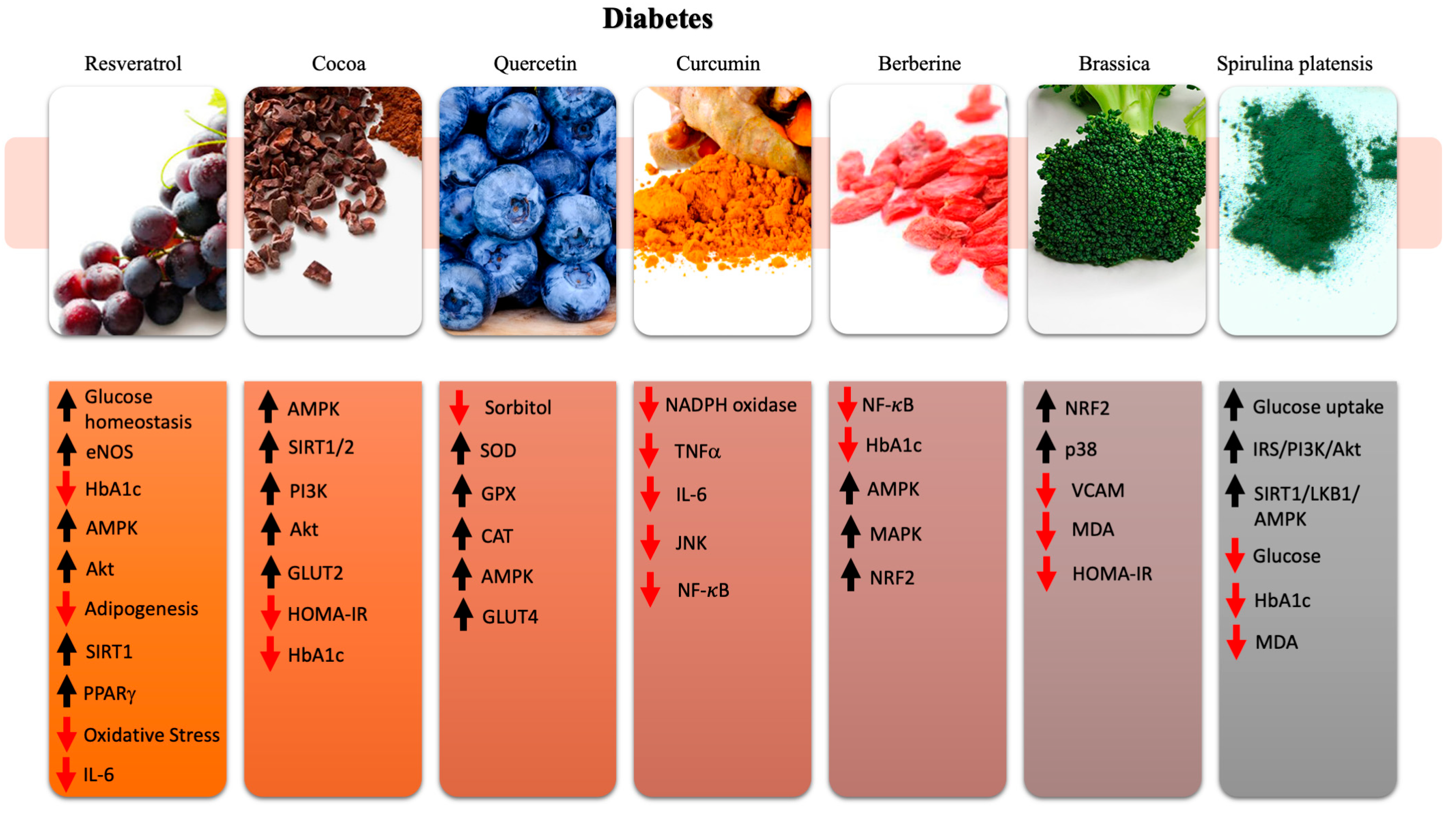 Ijms 21 08706 g004 Ijms 21 08706 g004