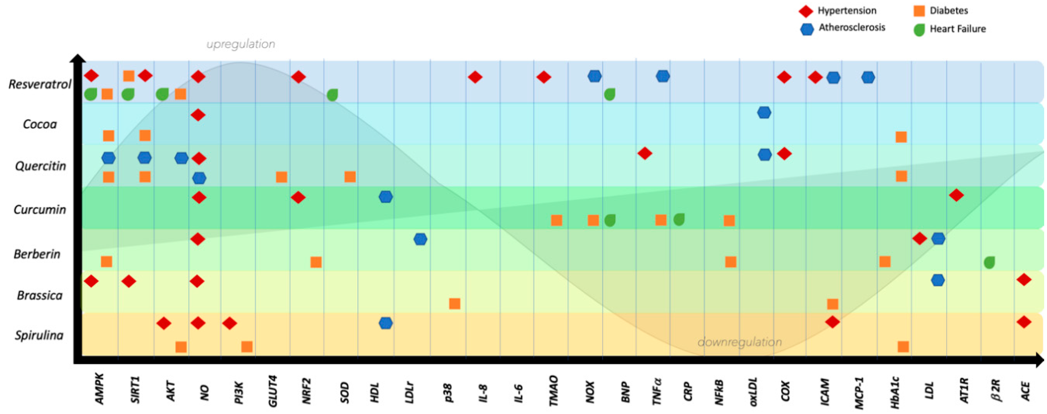 Ijms 21 08706 g005 Ijms 21 08706 g005