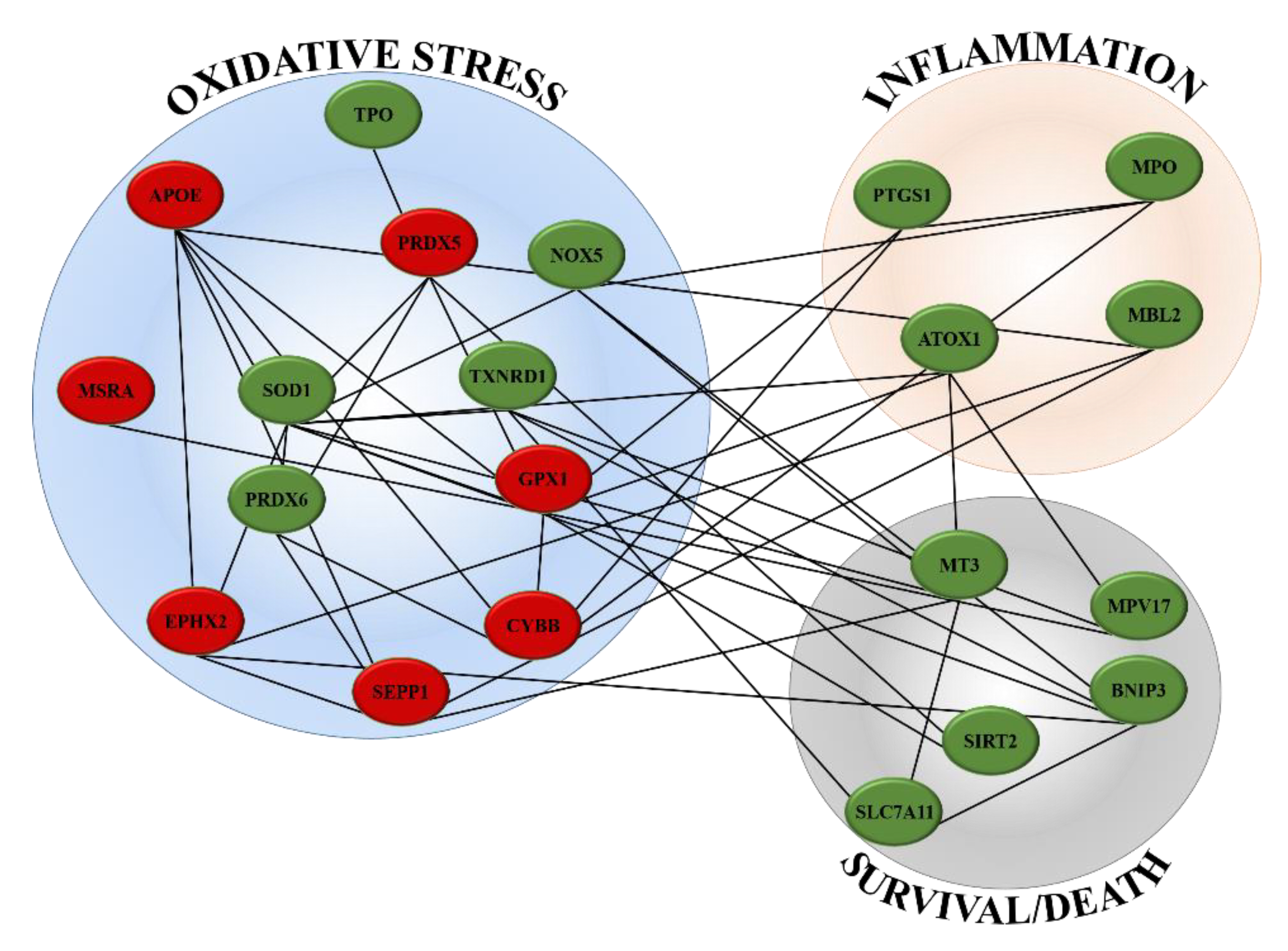 Ijms 21 08707 g003 Ijms 21 08707 g003