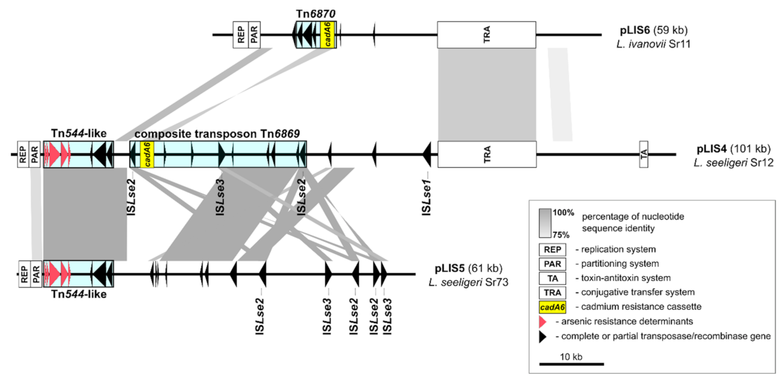 Ijms 21 08713 g002 Ijms 21 08713 g002