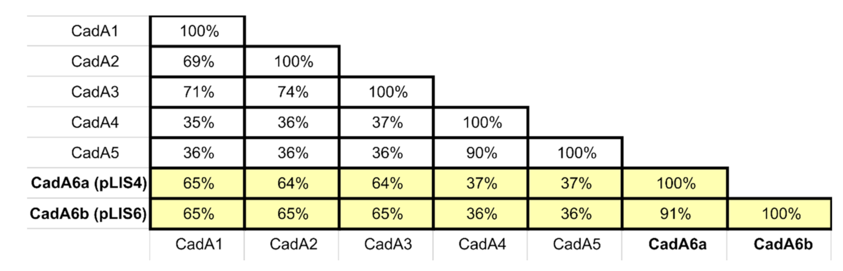Ijms 21 08713 g003 Ijms 21 08713 g003