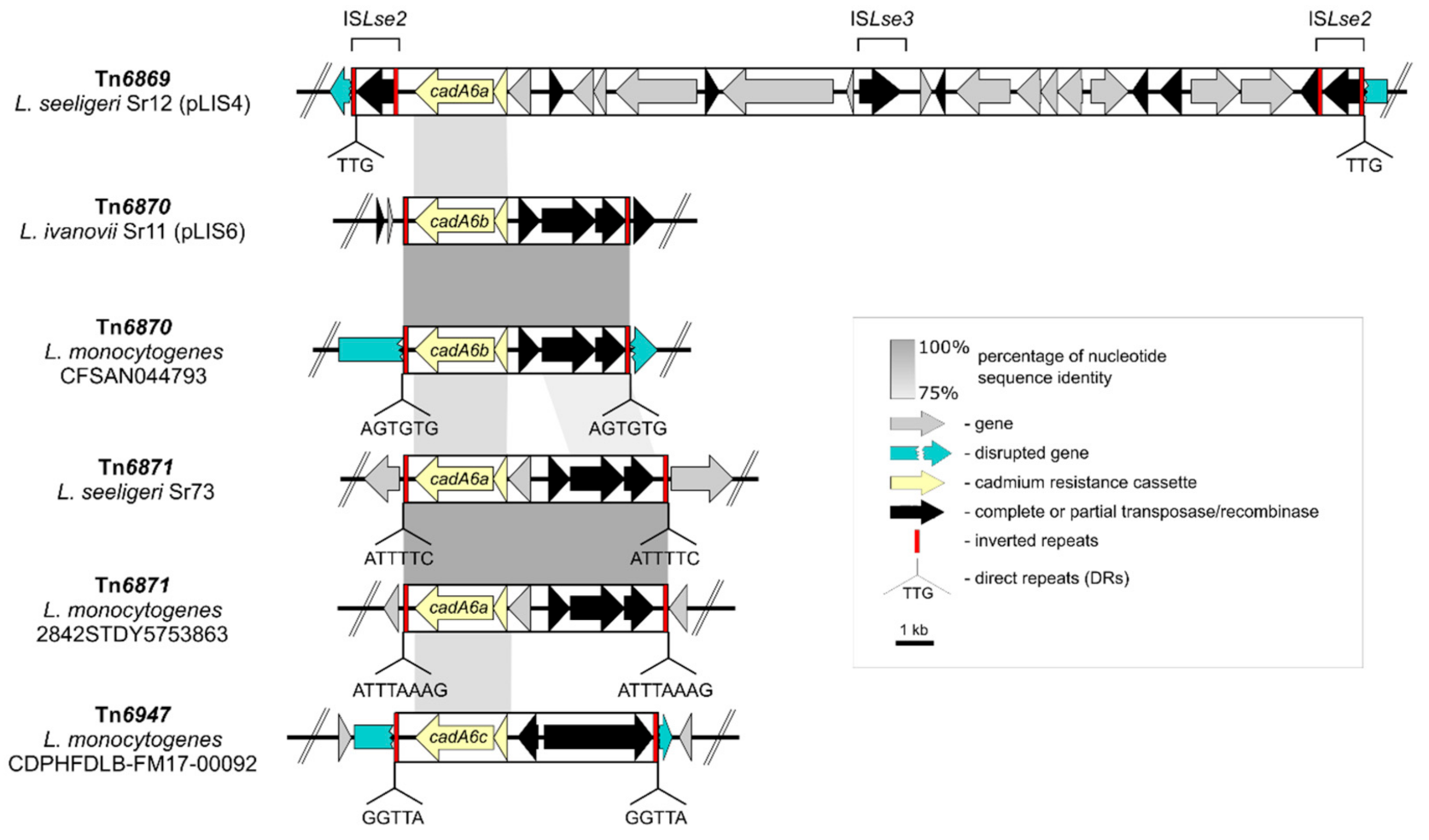 Ijms 21 08713 g004 Ijms 21 08713 g004