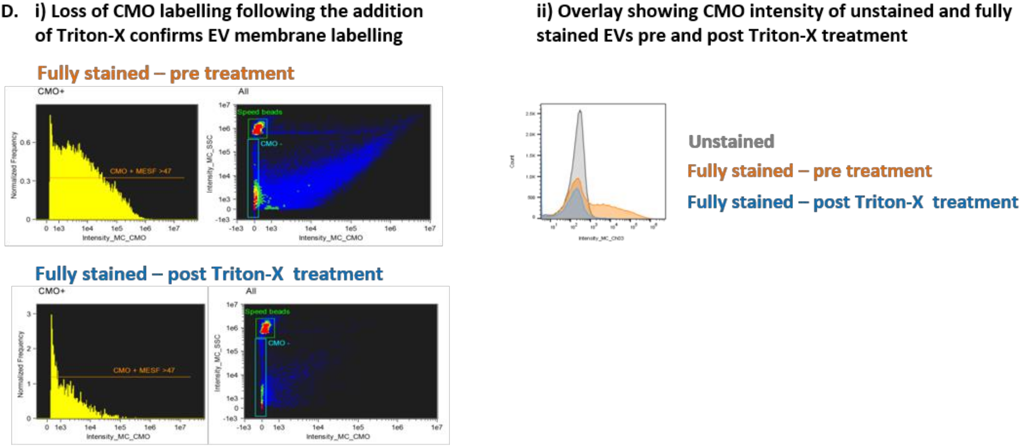 Ijms 21 08723 g002b Ijms 21 08723 g002b