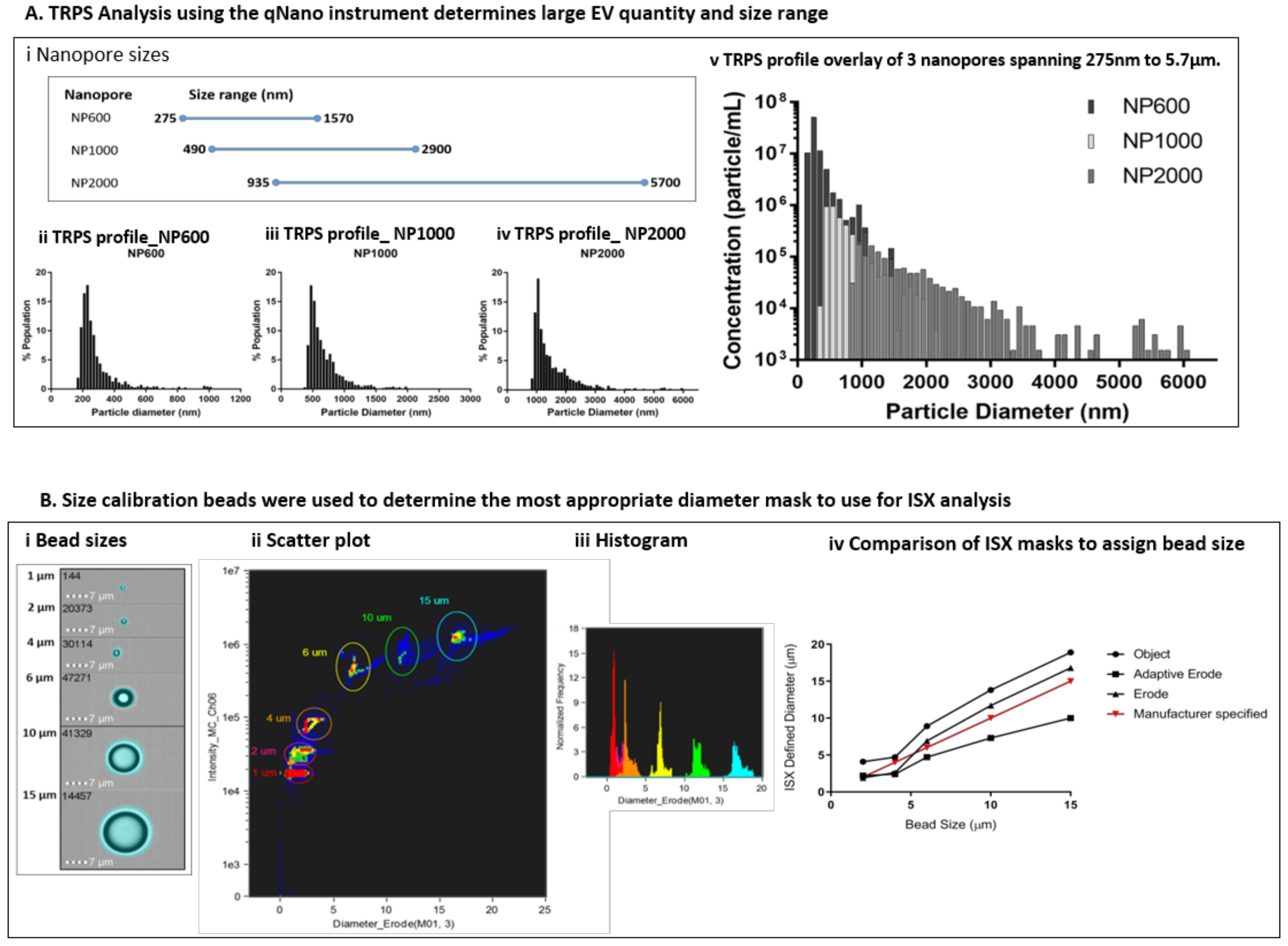 Ijms 21 08723 g003 Ijms 21 08723 g003