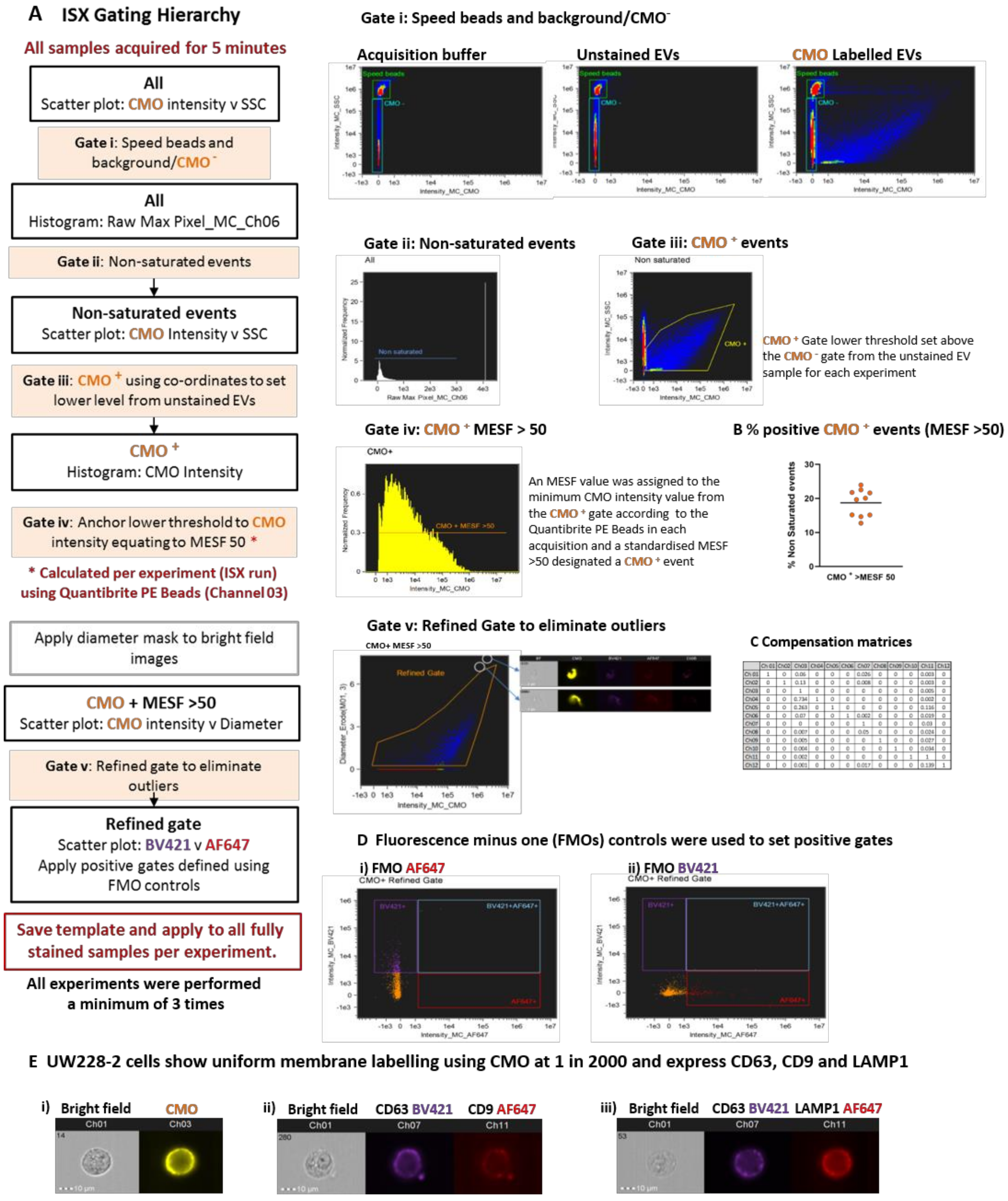 Ijms 21 08723 g004 Ijms 21 08723 g004