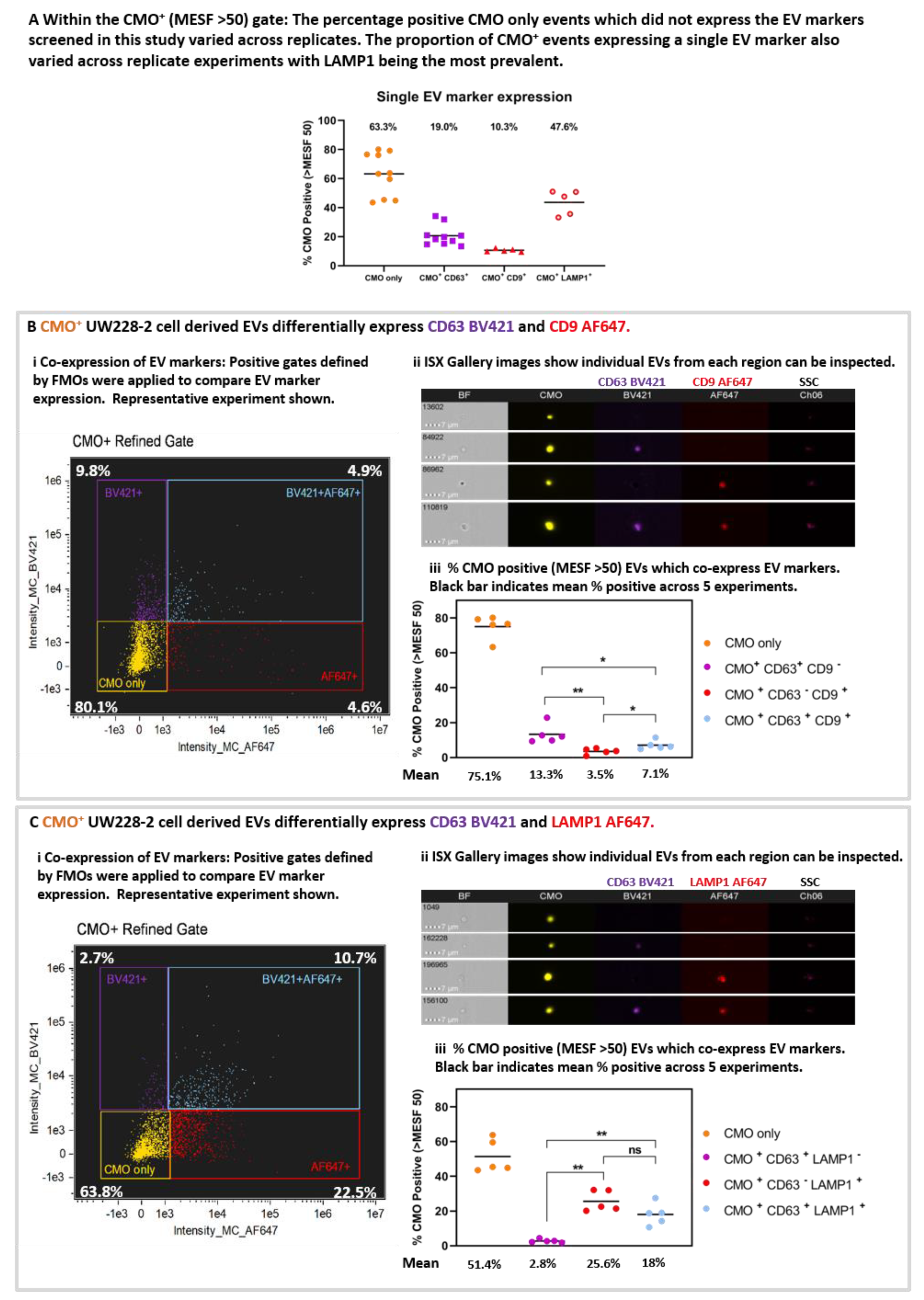 Ijms 21 08723 g005 Ijms 21 08723 g005