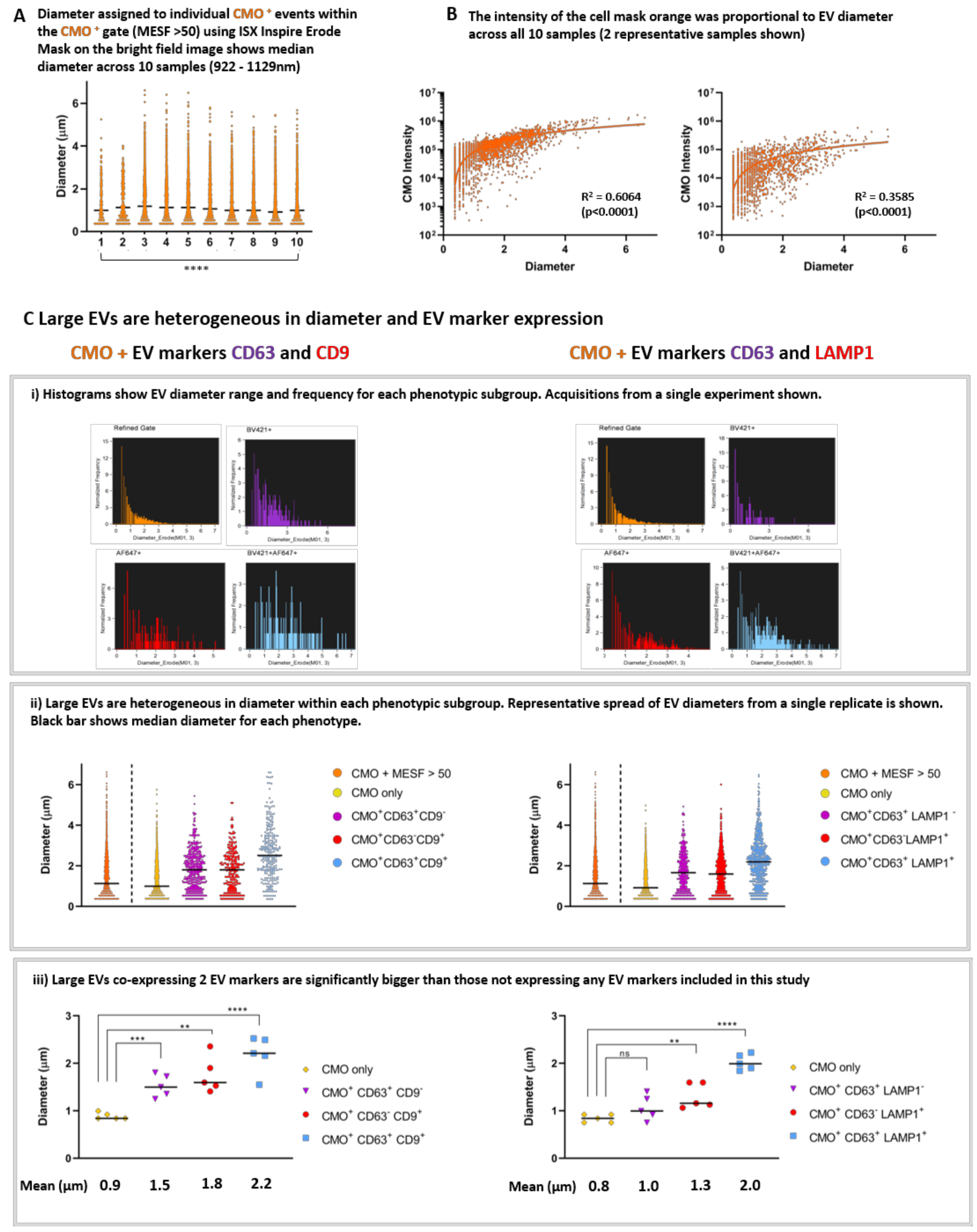Ijms 21 08723 g006 Ijms 21 08723 g006