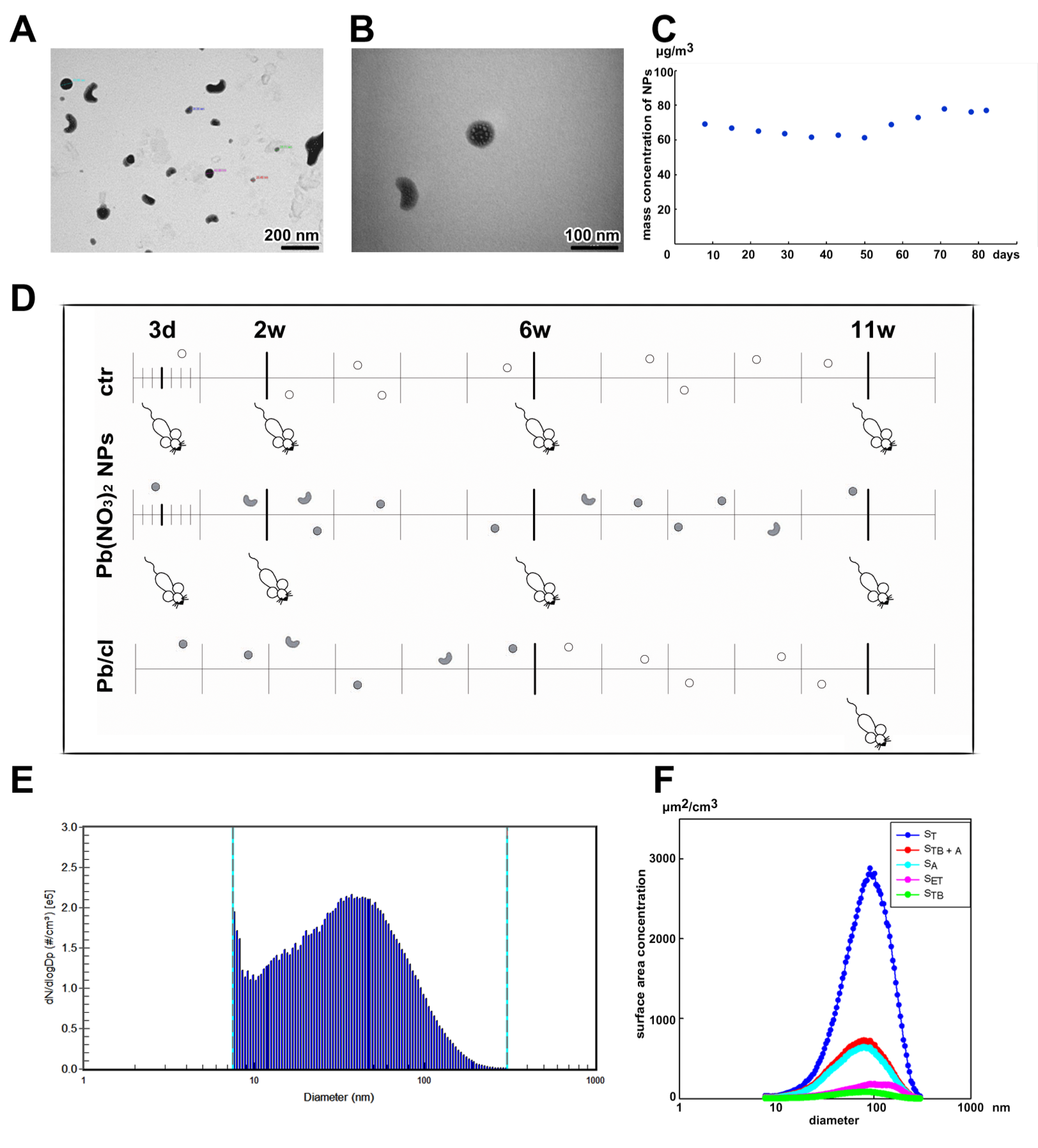 Ijms 21 08738 g001 Ijms 21 08738 g001