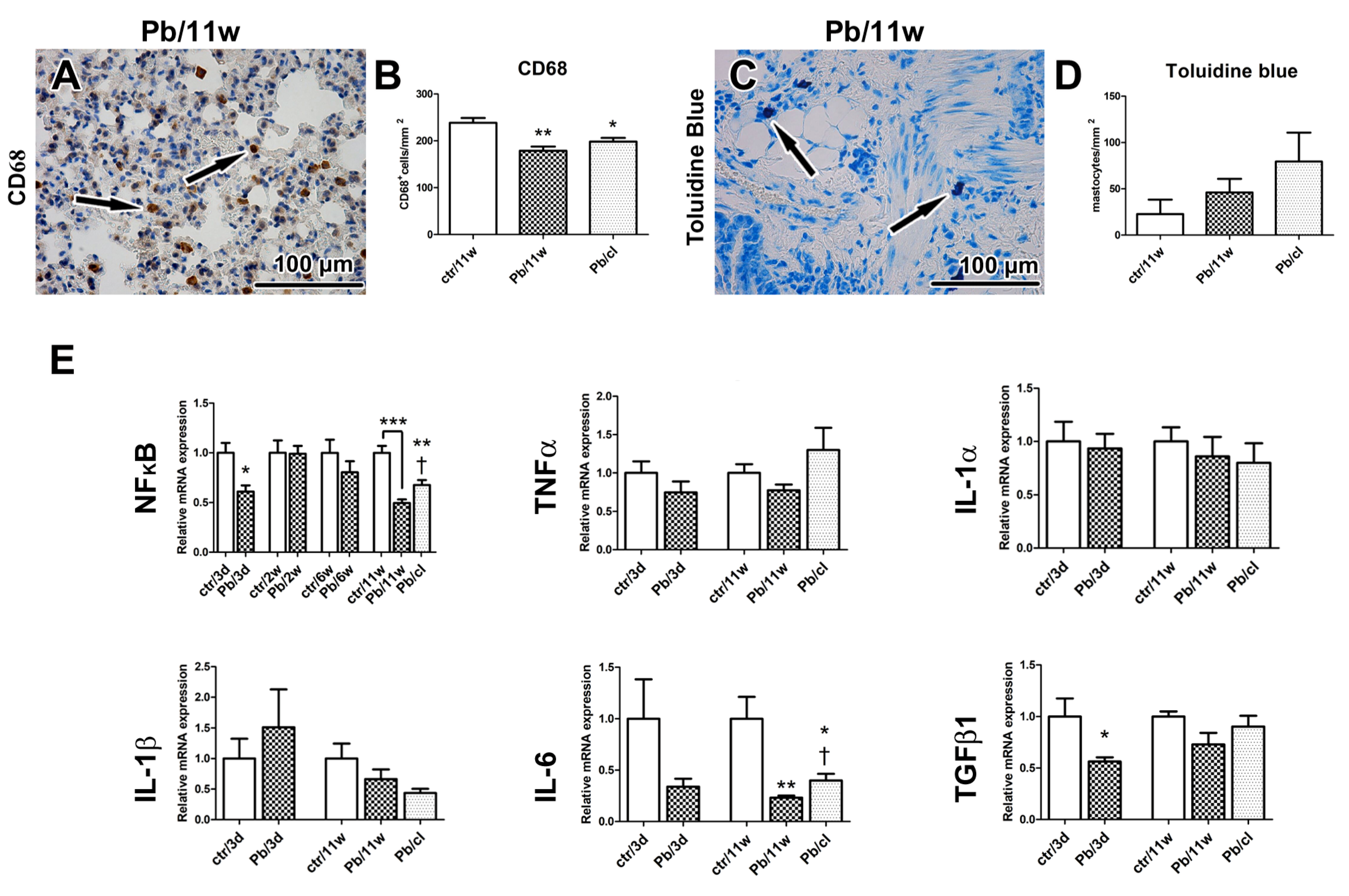 Ijms 21 08738 g003 Ijms 21 08738 g003