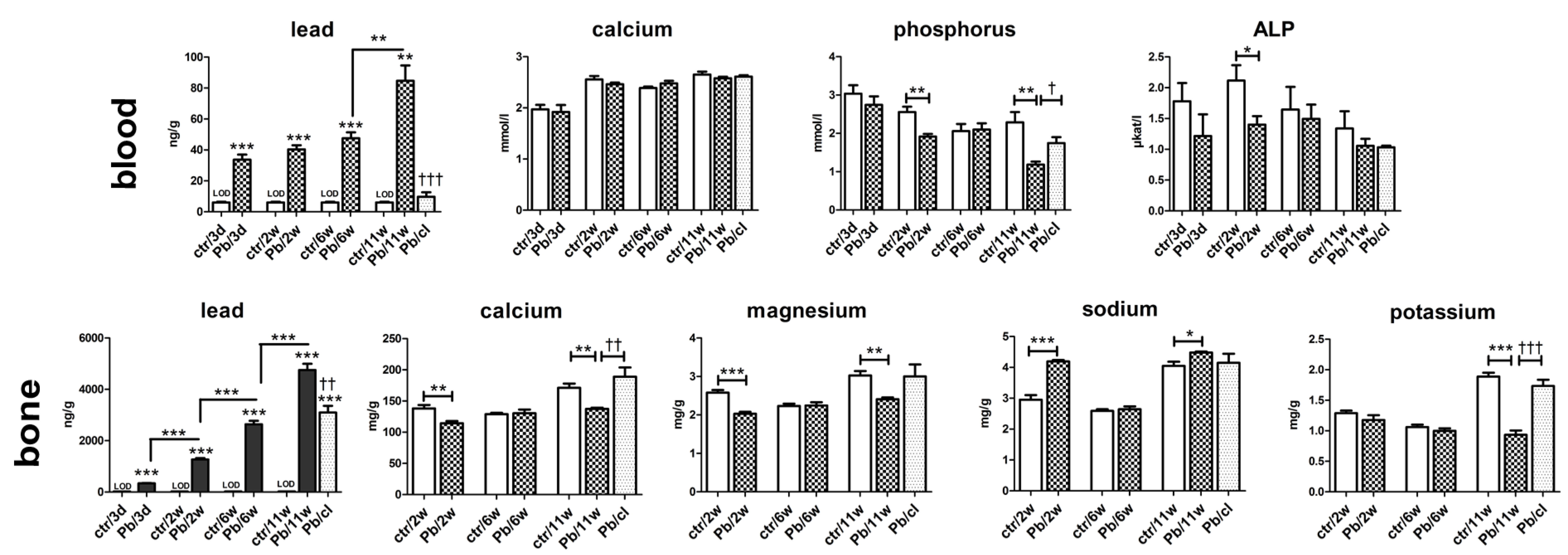 Ijms 21 08738 g004 Ijms 21 08738 g004